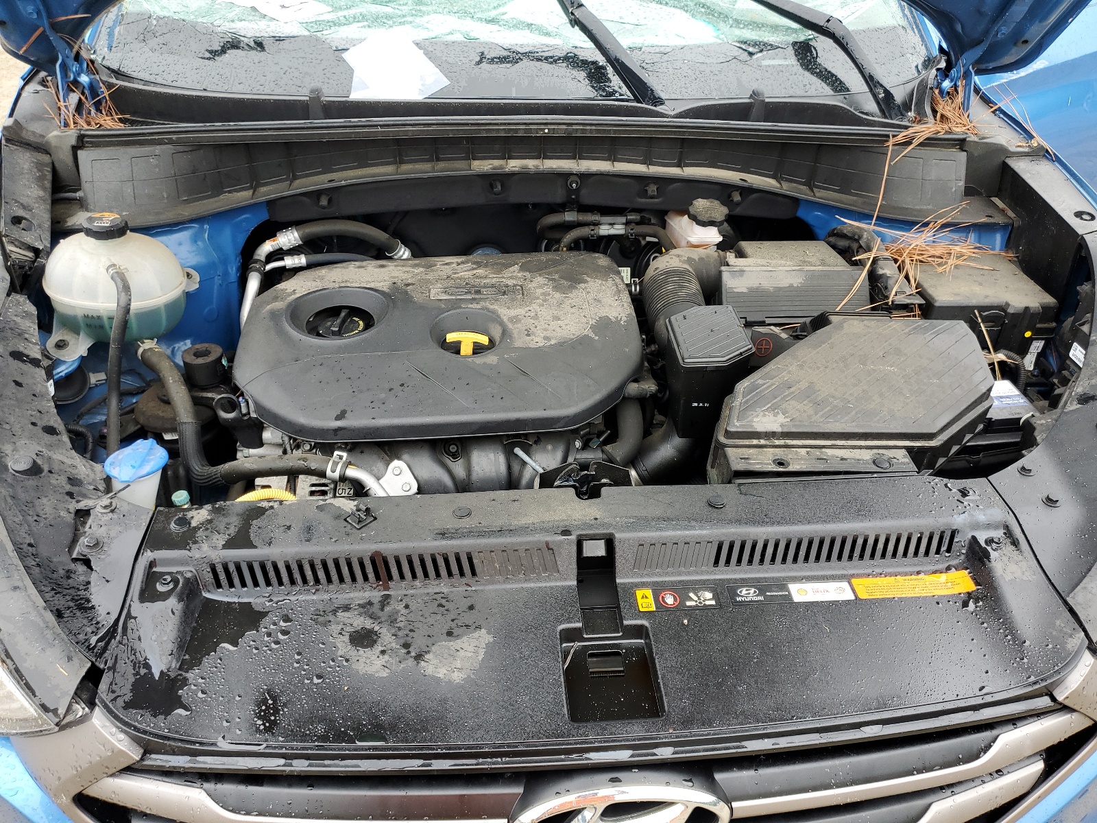 KM8J23A45GU226356 2016 Hyundai Tucson Se