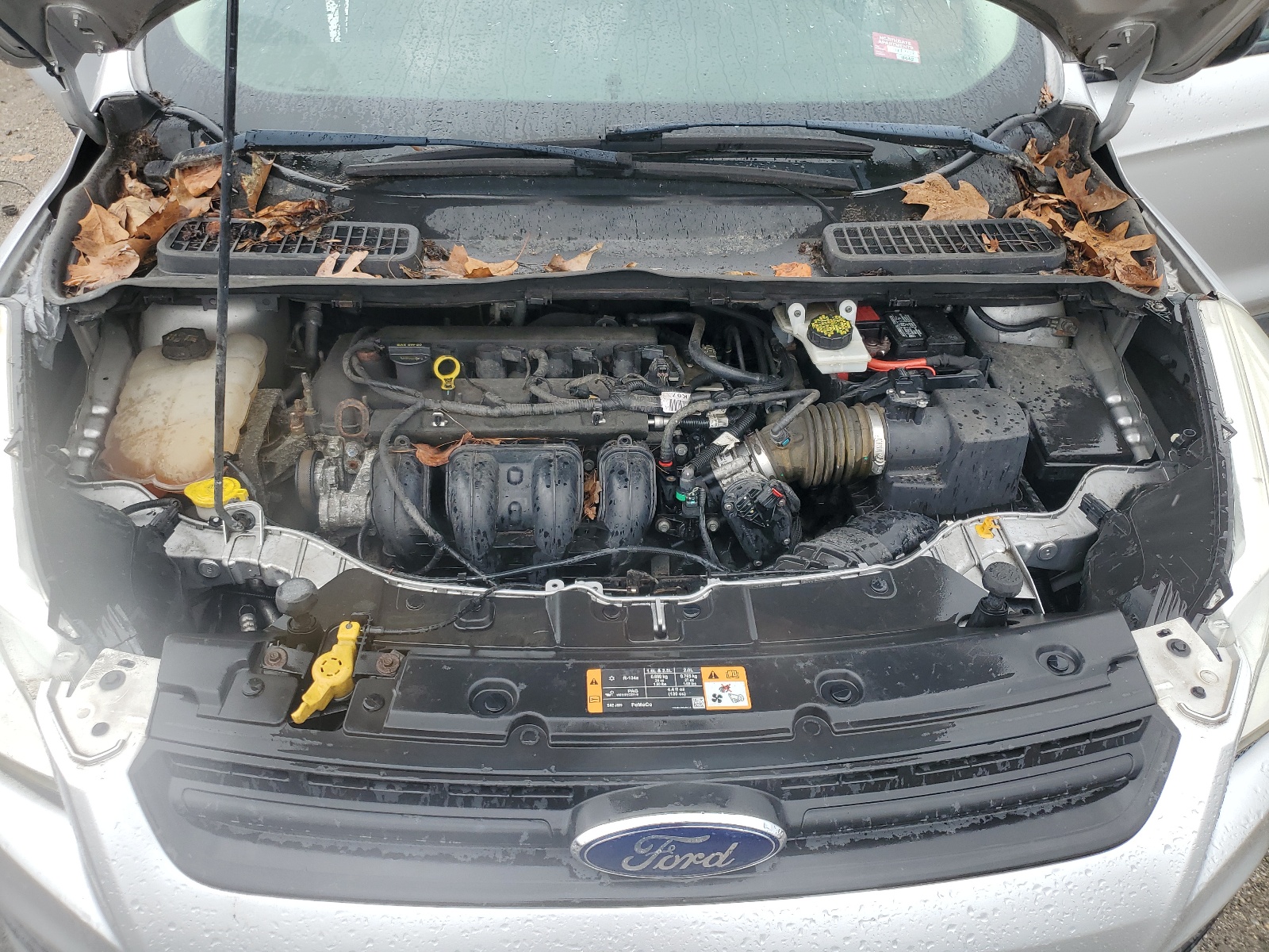 1FMCU0F76EUD44837 2014 Ford Escape S