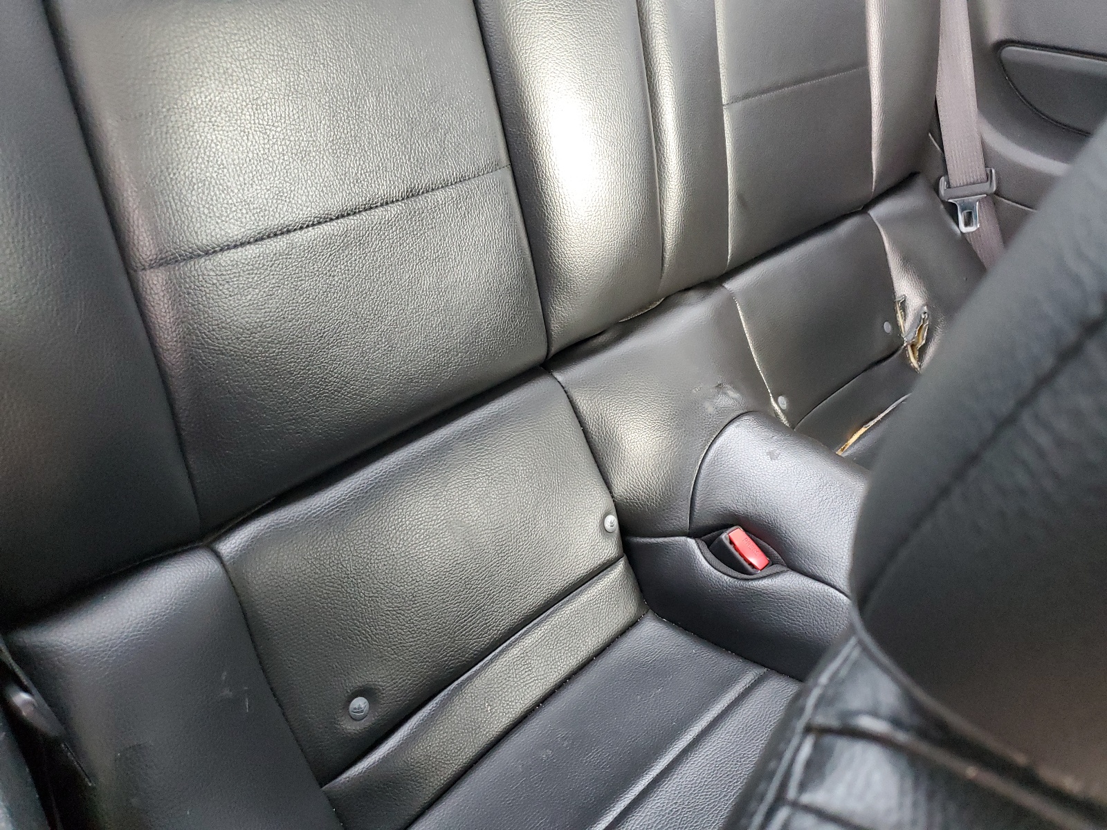 1ZVHT80N095131253 2009 Ford Mustang