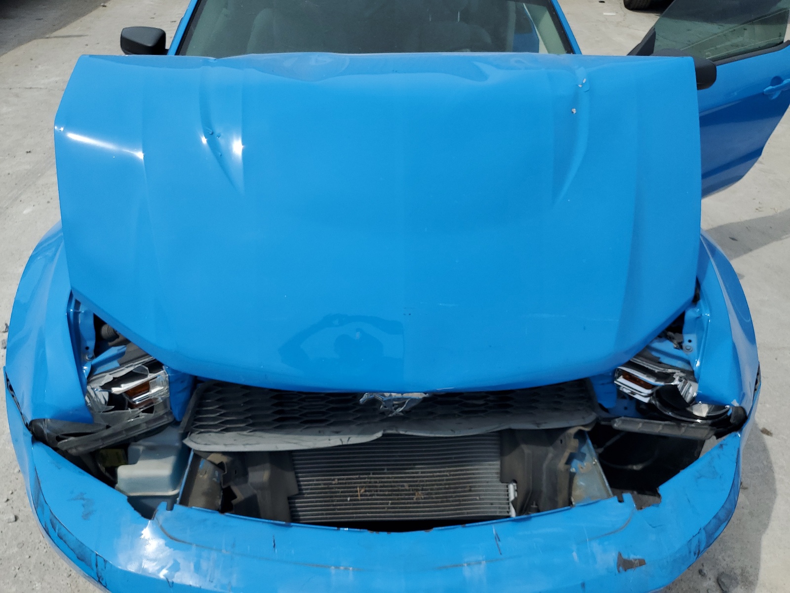 1ZVBP8AN6A5145011 2010 Ford Mustang