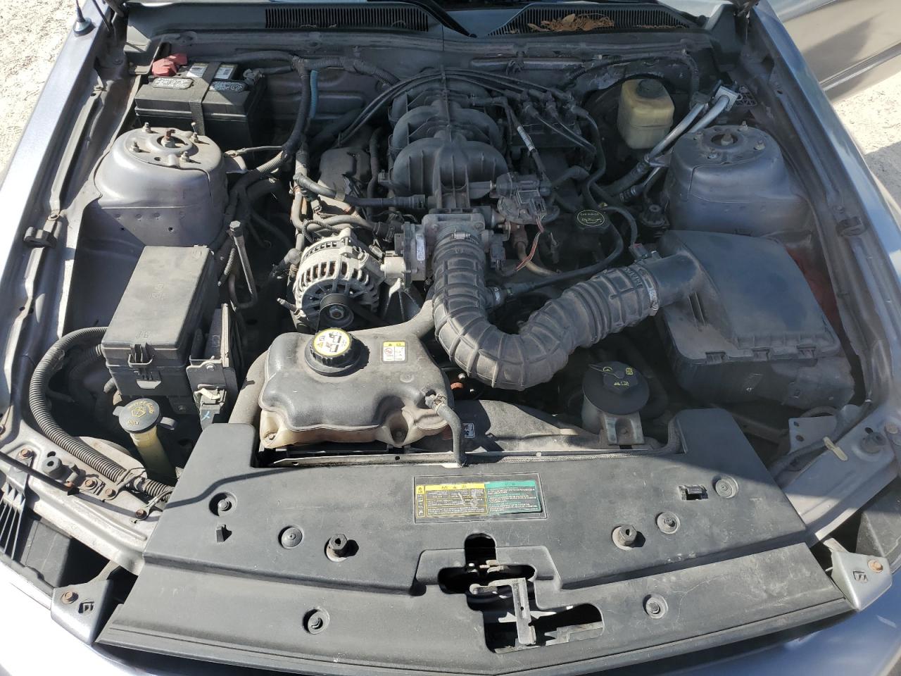 2007 Ford Mustang VIN: 1ZVFT80N875367153 Lot: 63395714