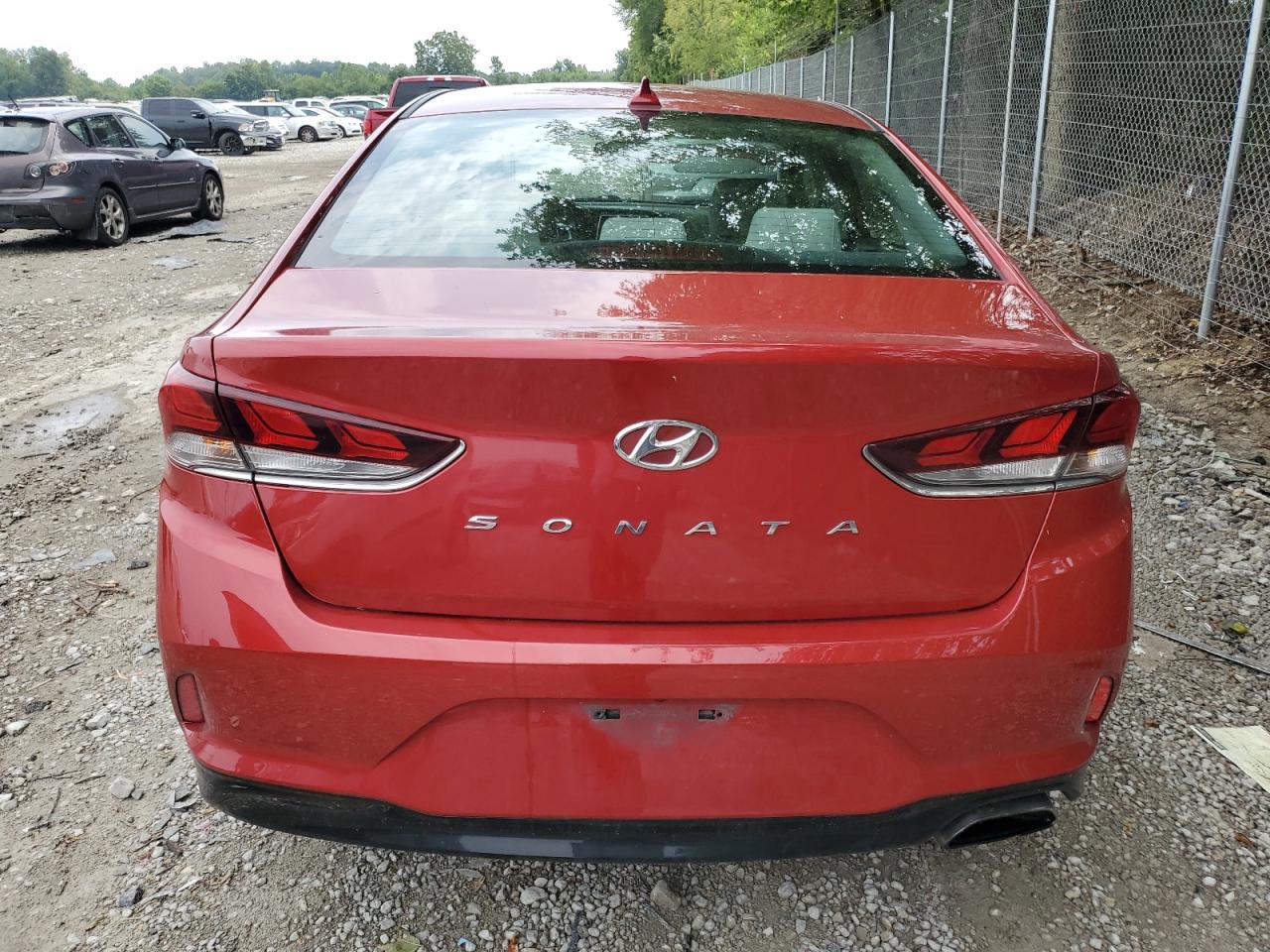 2019 Hyundai Sonata Limited VIN: 5NPE34AF3KH786194 Lot: 64093404