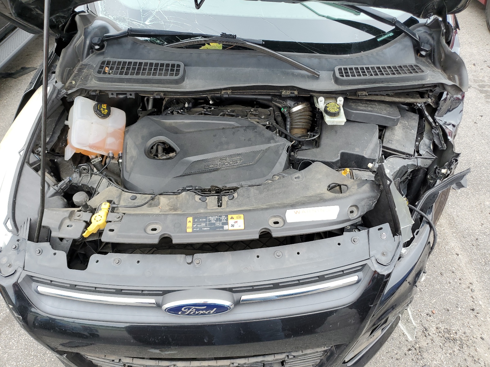 1FMCU0GXXEUD97734 2014 Ford Escape Se