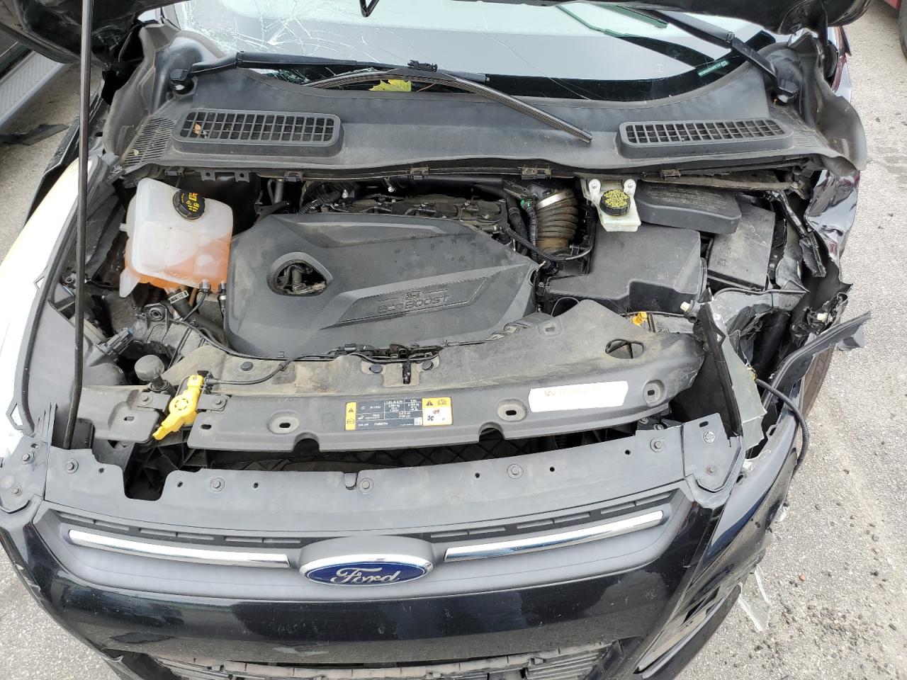 2014 Ford Escape Se VIN: 1FMCU0GXXEUD97734 Lot: 61712914