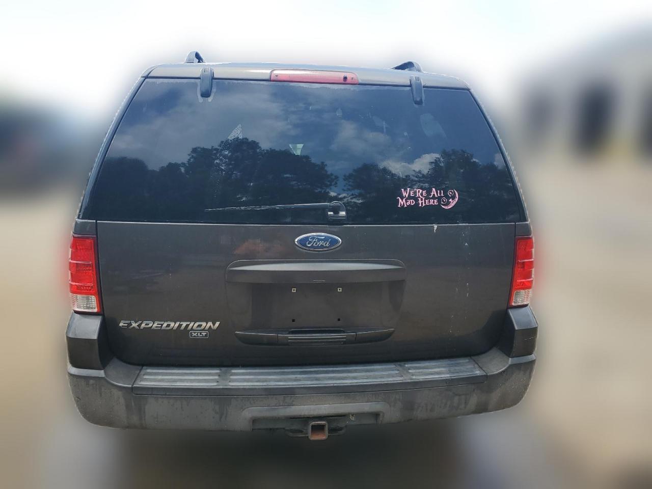 2005 Ford Expedition Xlt VIN: 1FMPU15565LA14791 Lot: 63635754