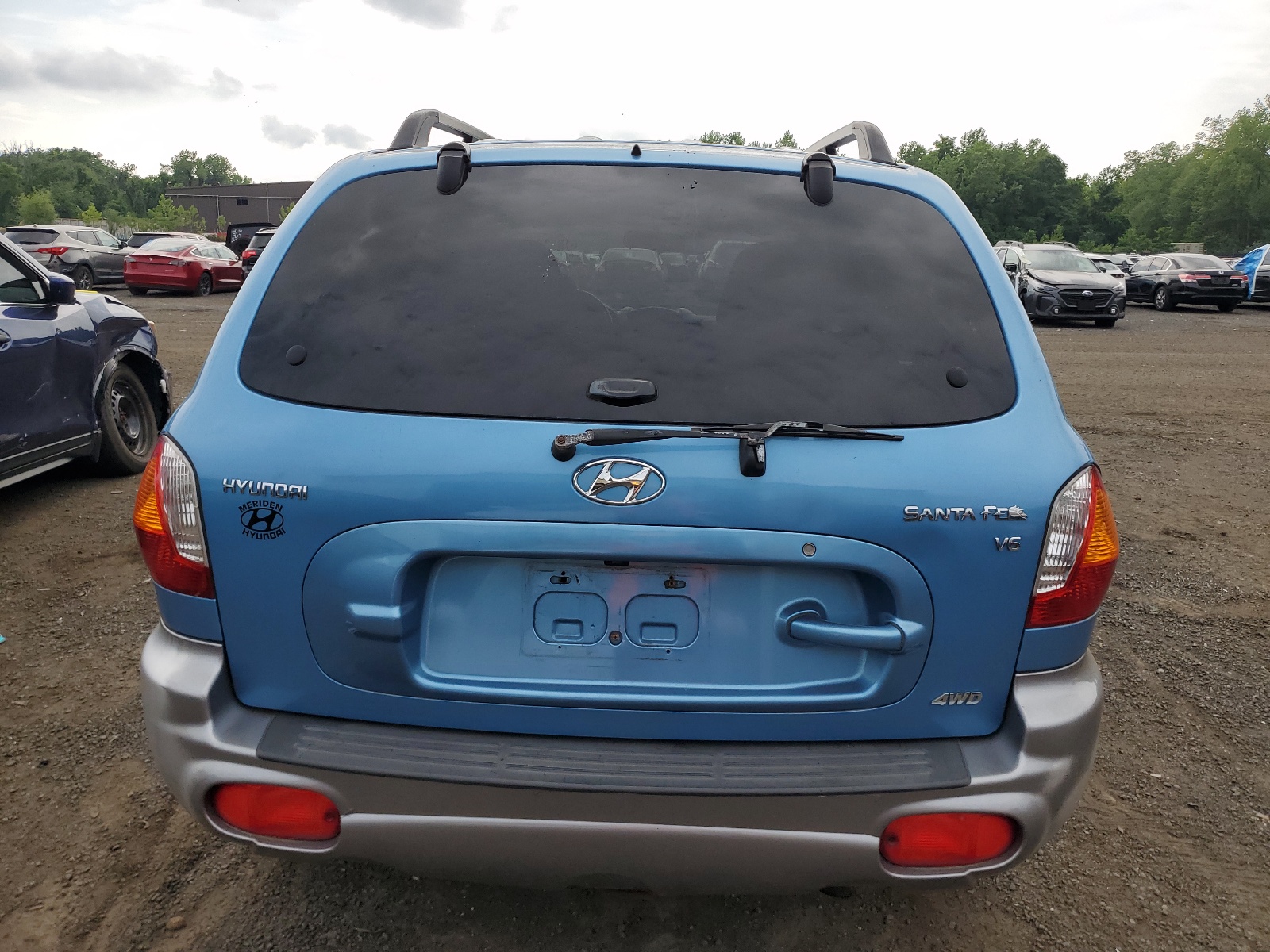 KM8SC73D34U589711 2004 Hyundai Santa Fe Gls