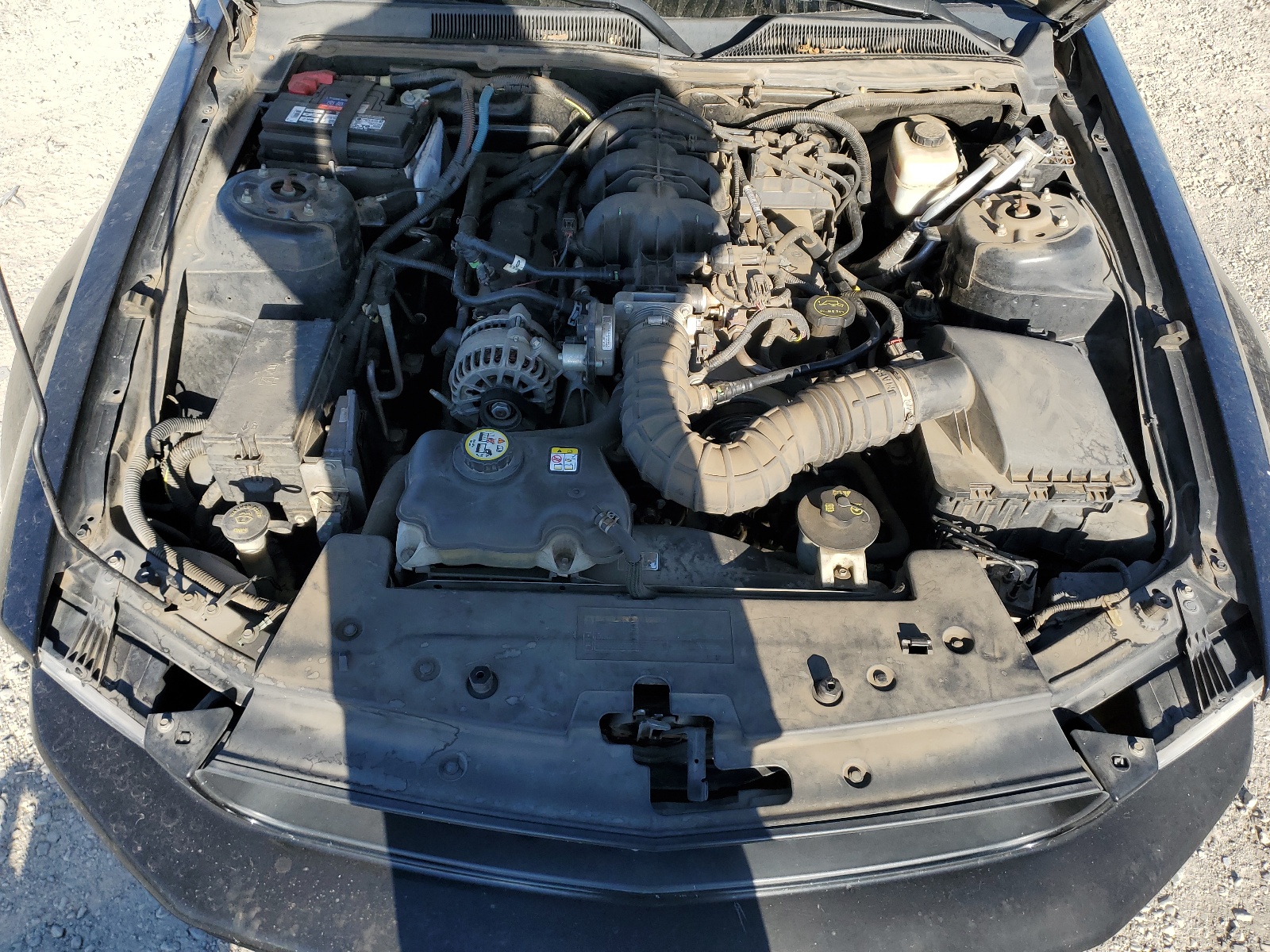 1ZVHT84N885165580 2008 Ford Mustang