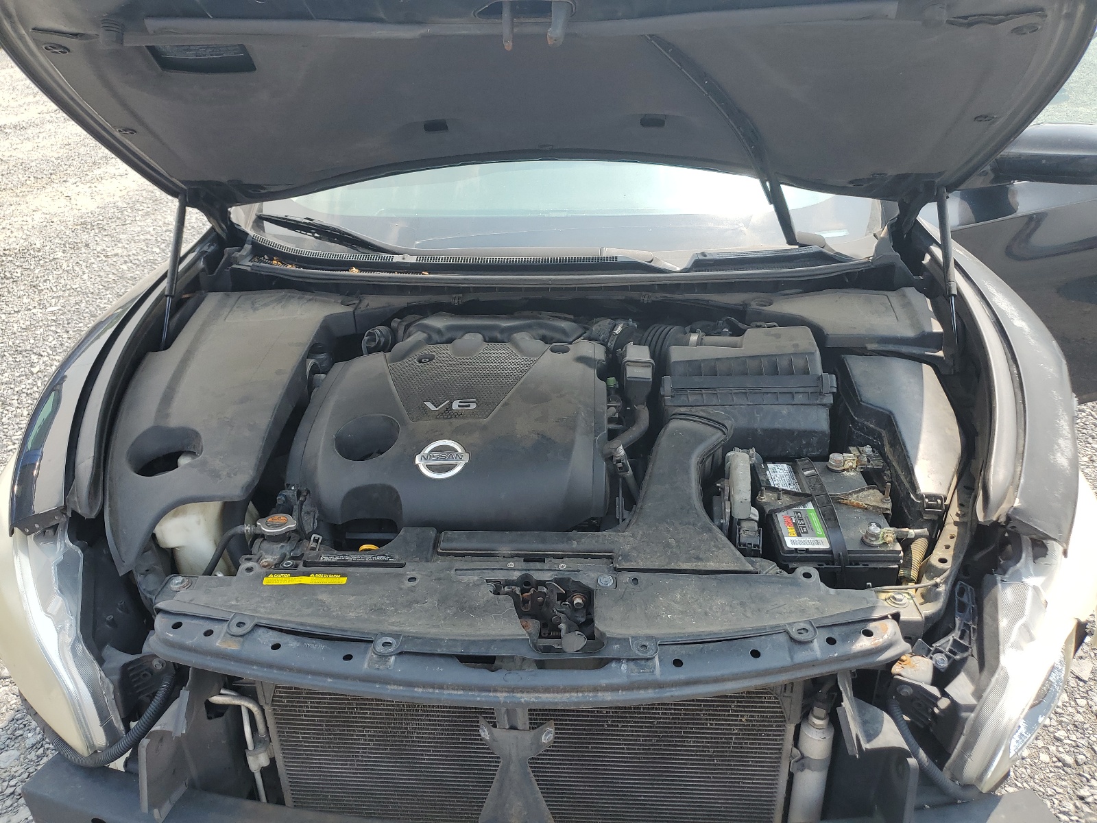 1N4AA51E49C847758 2009 Nissan Maxima S