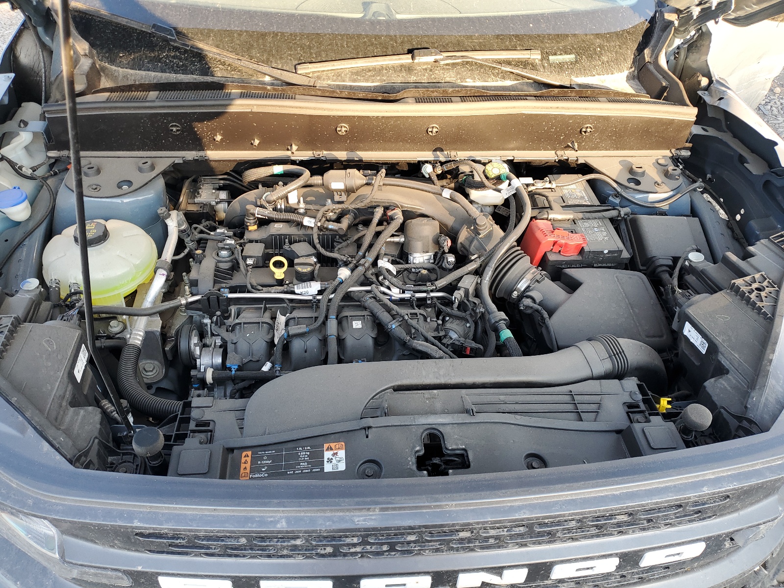 3FMCR9D94RRE01446 2024 Ford Bronco Sport Badlands