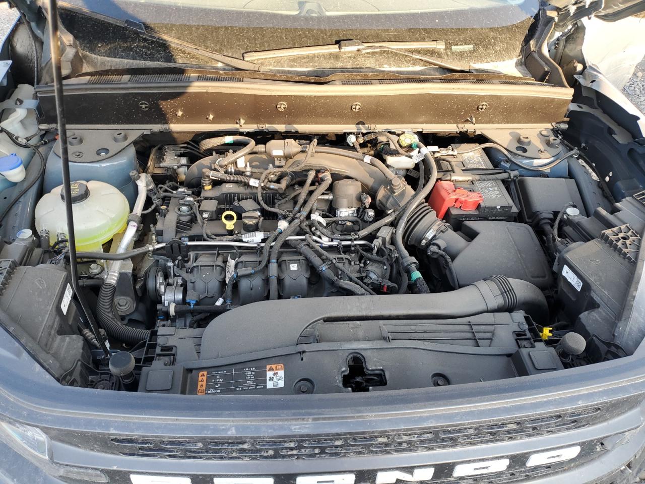 2024 Ford Bronco Sport Badlands VIN: 3FMCR9D94RRE01446 Lot: 64968274