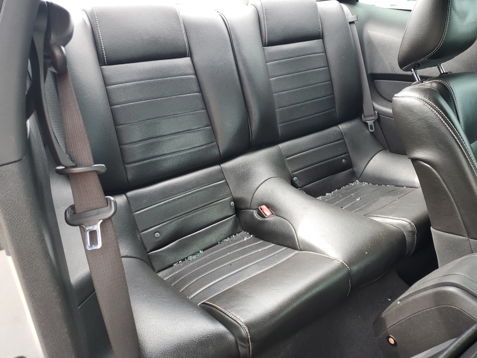 1ZVBP8AN2A5123488 2010 Ford Mustang