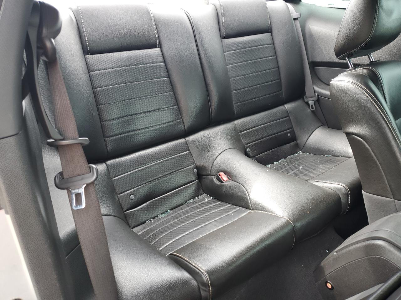 2010 Ford Mustang VIN: 1ZVBP8AN2A5123488 Lot: 62940034