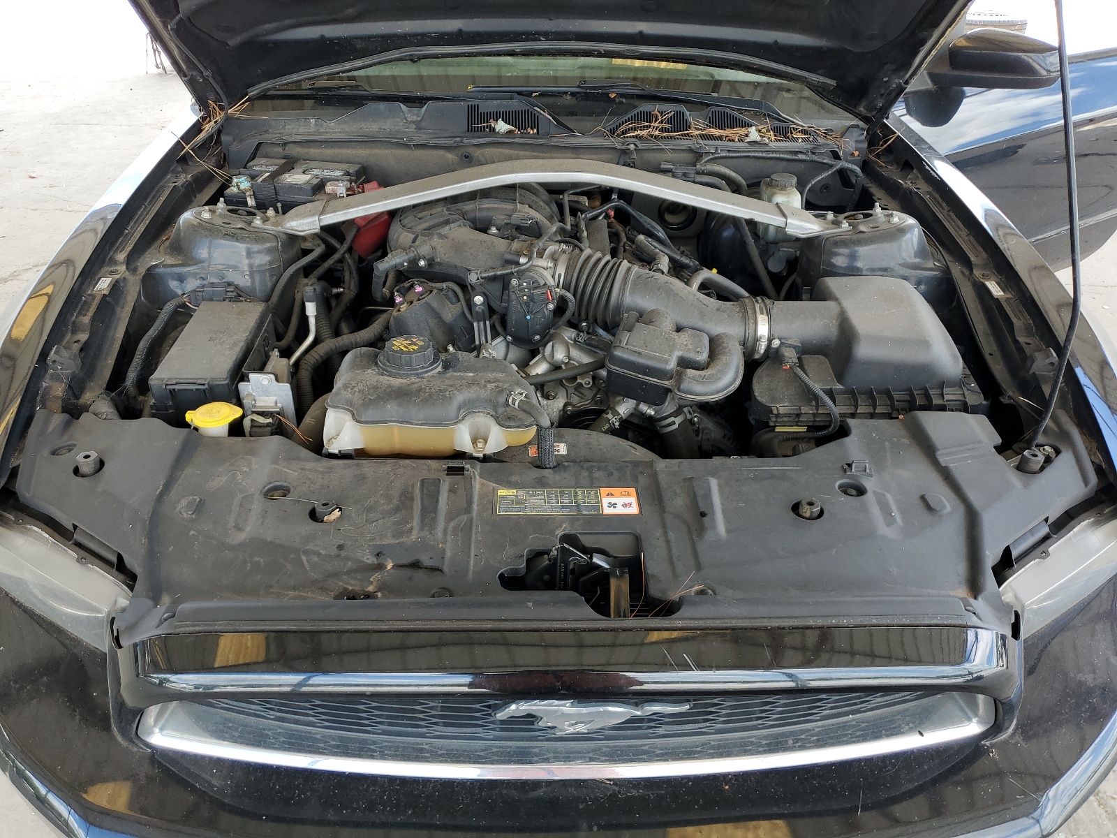 1ZVBP8AM0D5265432 2013 Ford Mustang