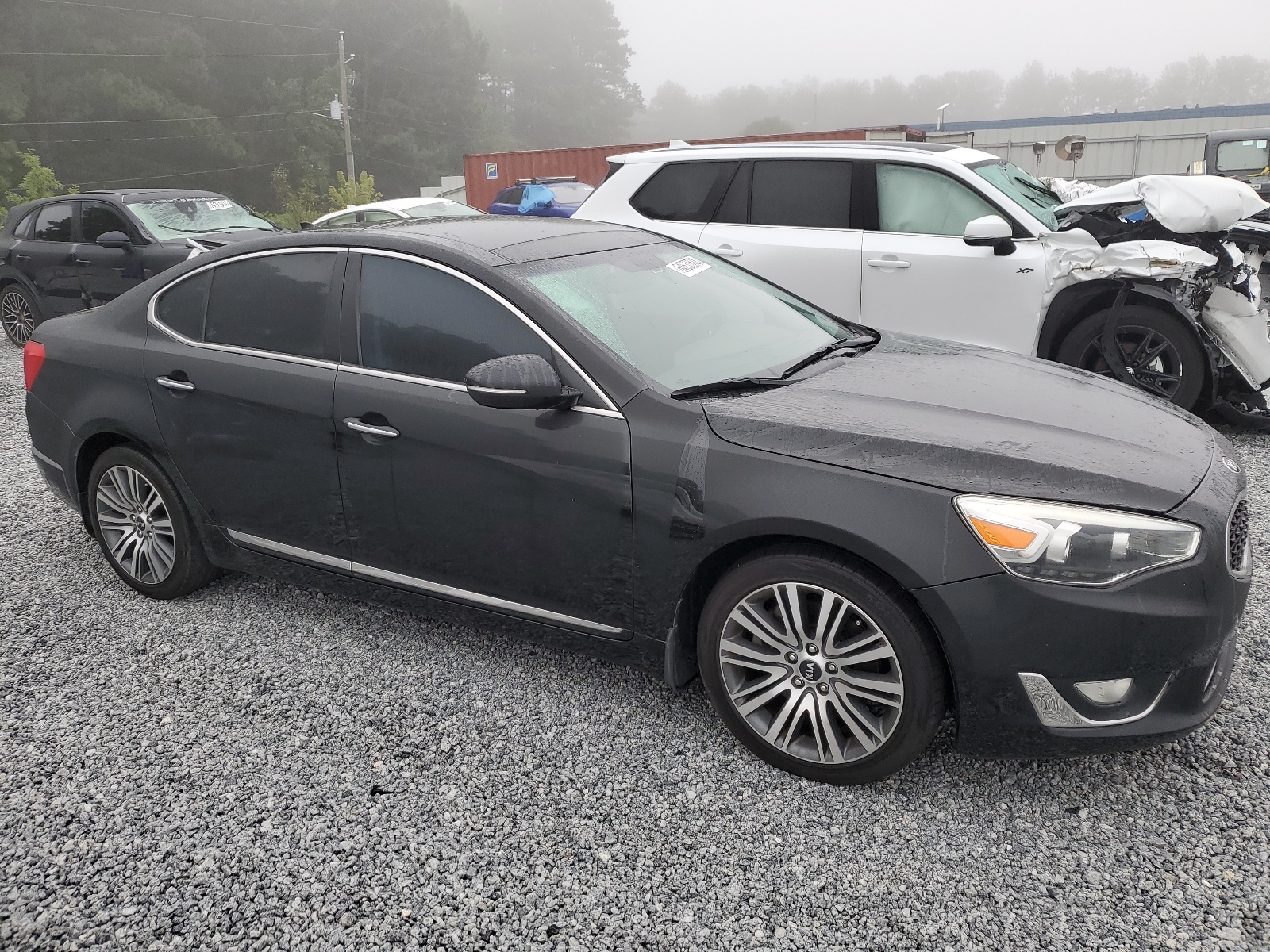 2014 Kia Cadenza Premium vin: KNALN4D78E5139040