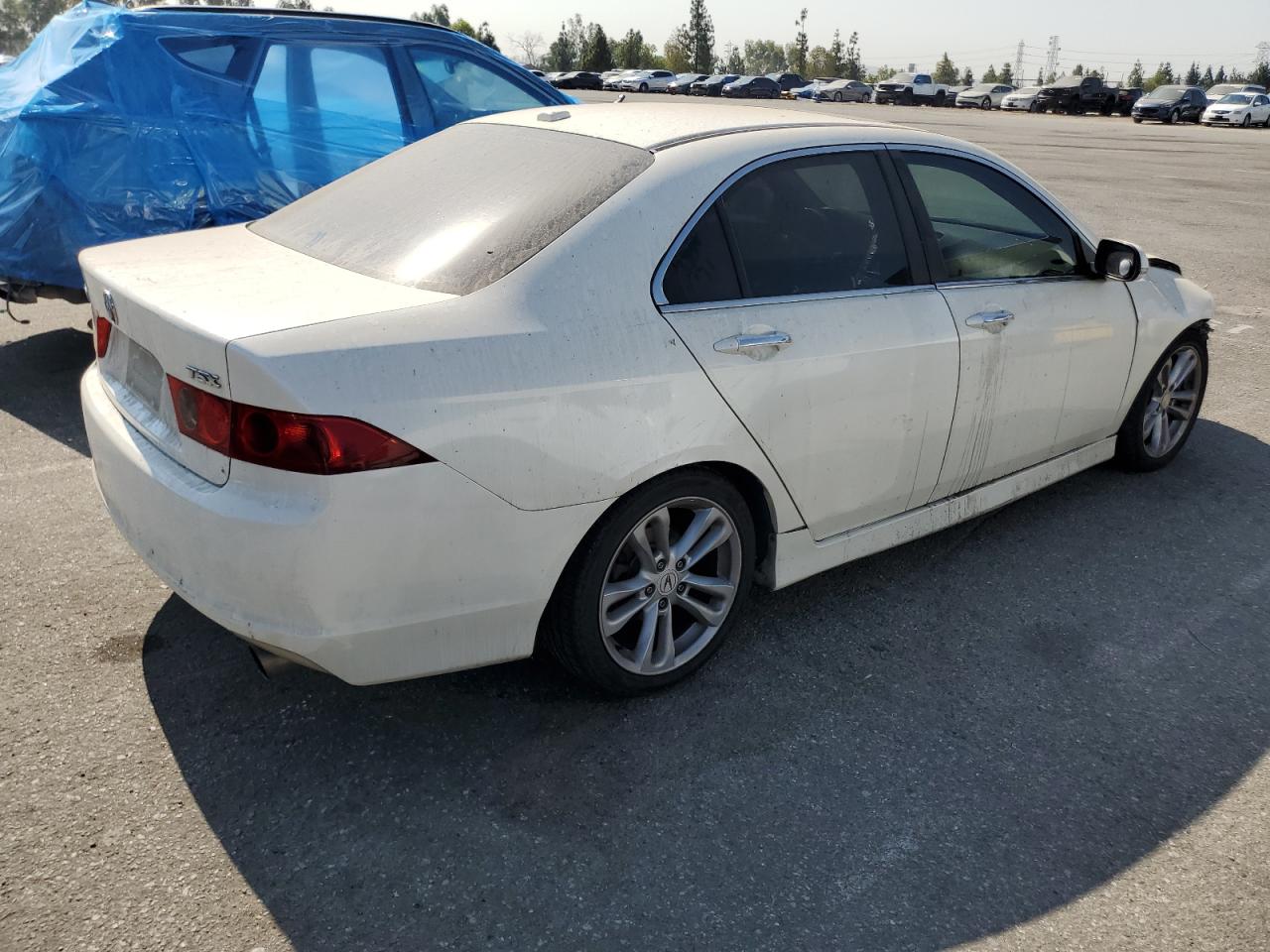 2006 Acura Tsx VIN: JH4CL96996C036550 Lot: 64190754