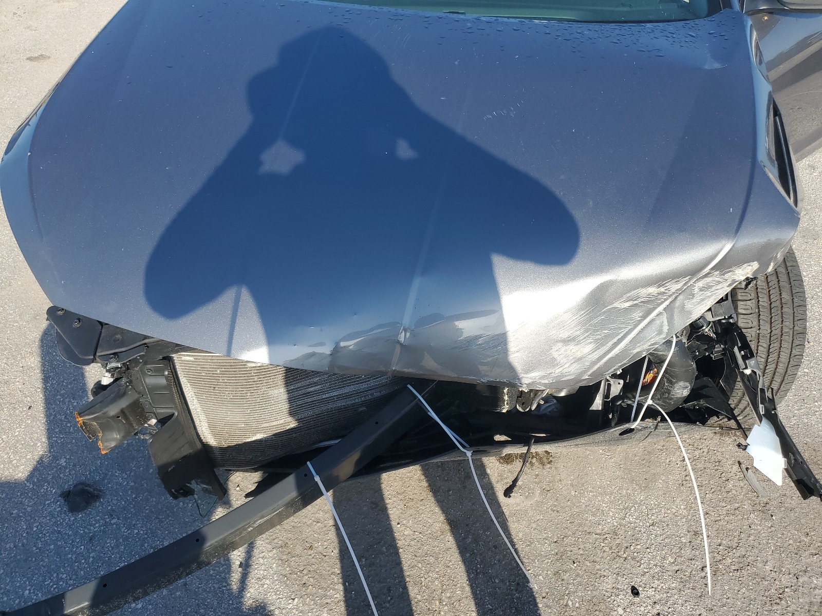 5NPD74LF8KH465264 2019 Hyundai Elantra Se