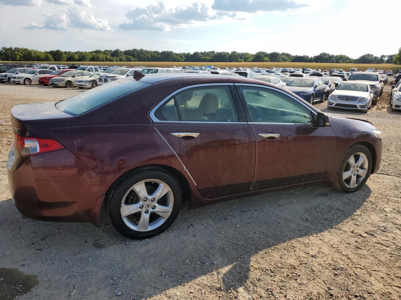2010 Acura Tsx VIN: JH4CU2F66AC007199 Lot: 62301834
