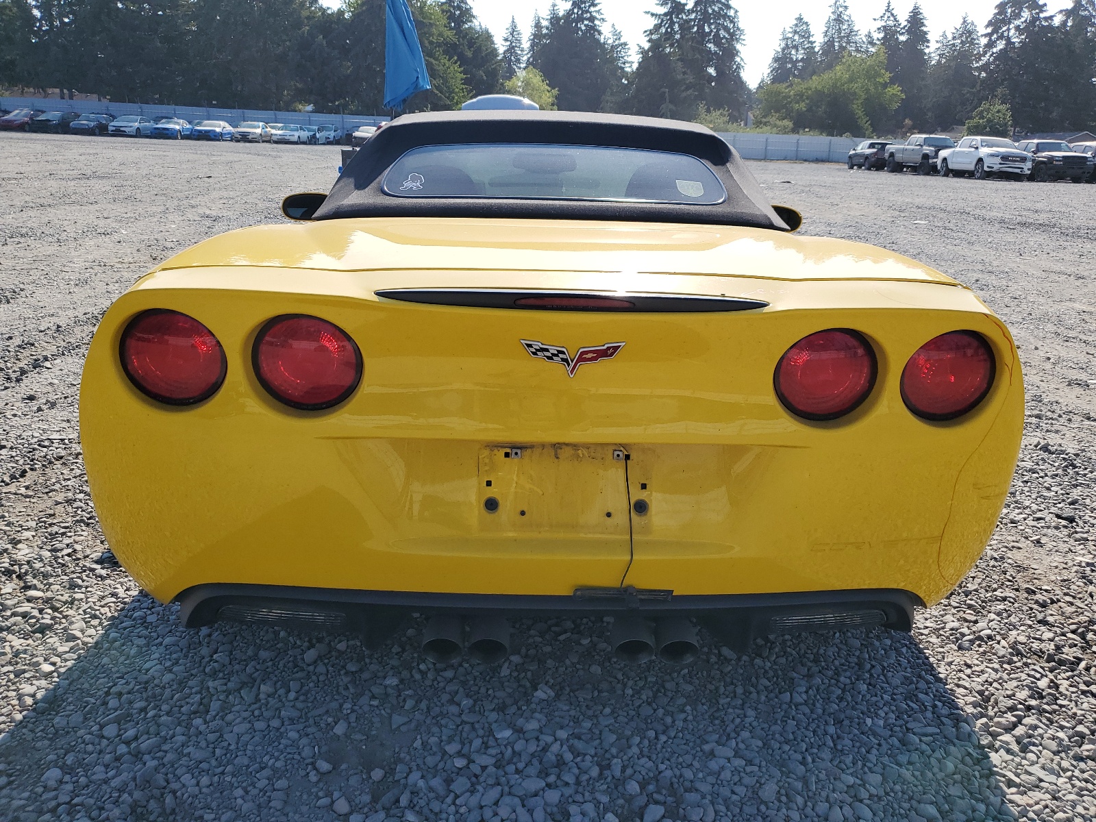 1G1YY36U465129564 2006 Chevrolet Corvette