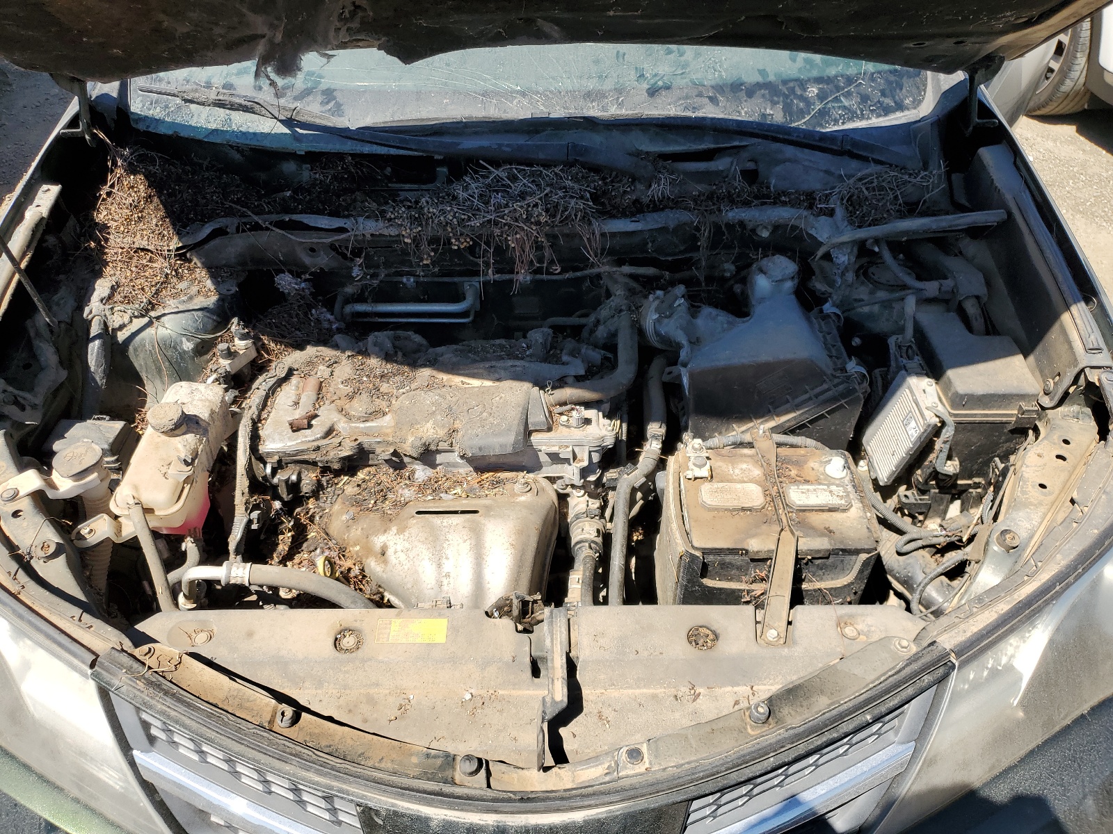 2T3DFREV1DW043692 2013 Toyota Rav4 Limited