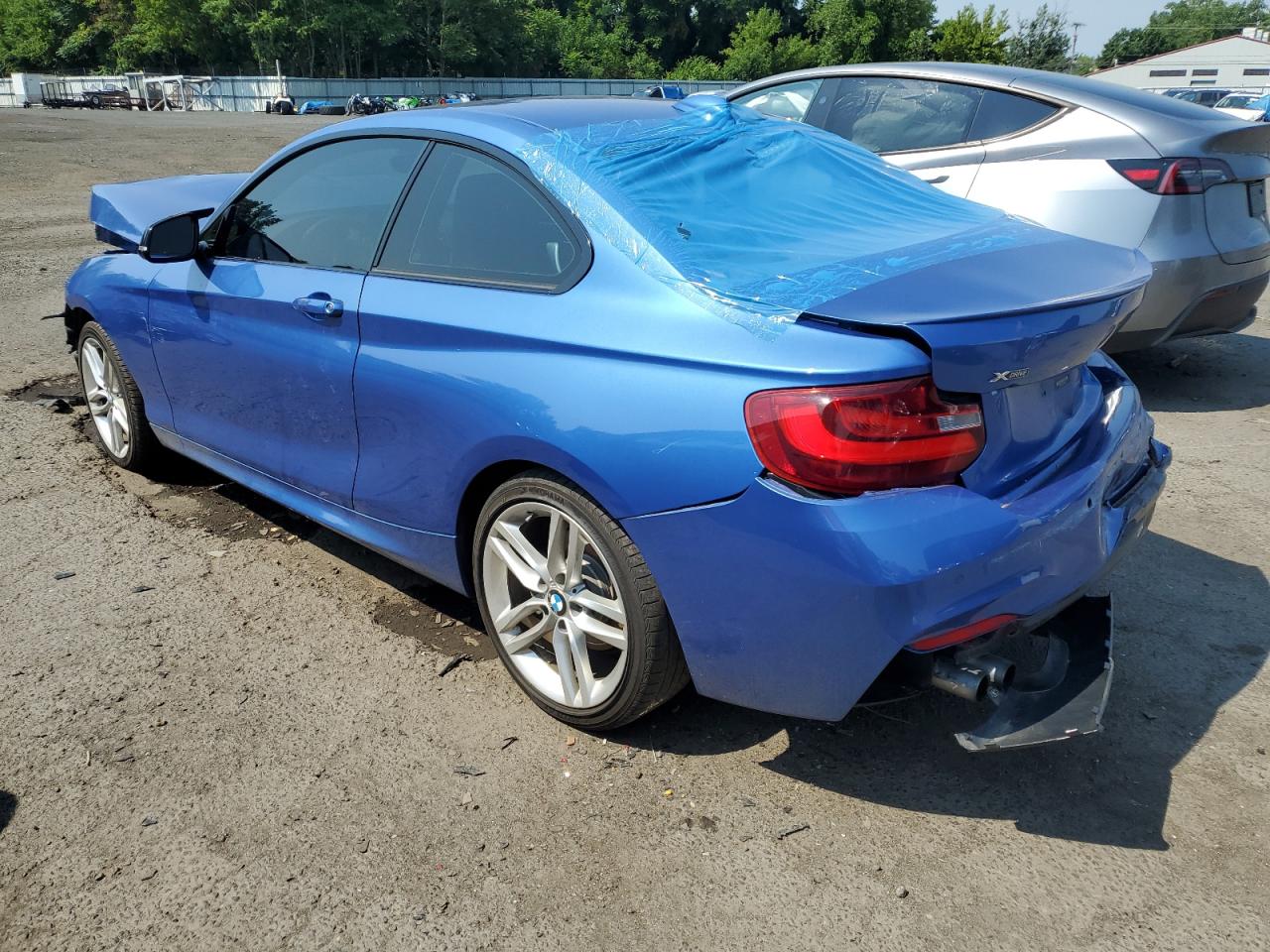 2015 BMW 228 Xi Sulev VIN: WBA1G9C59FVX96655 Lot: 62536094