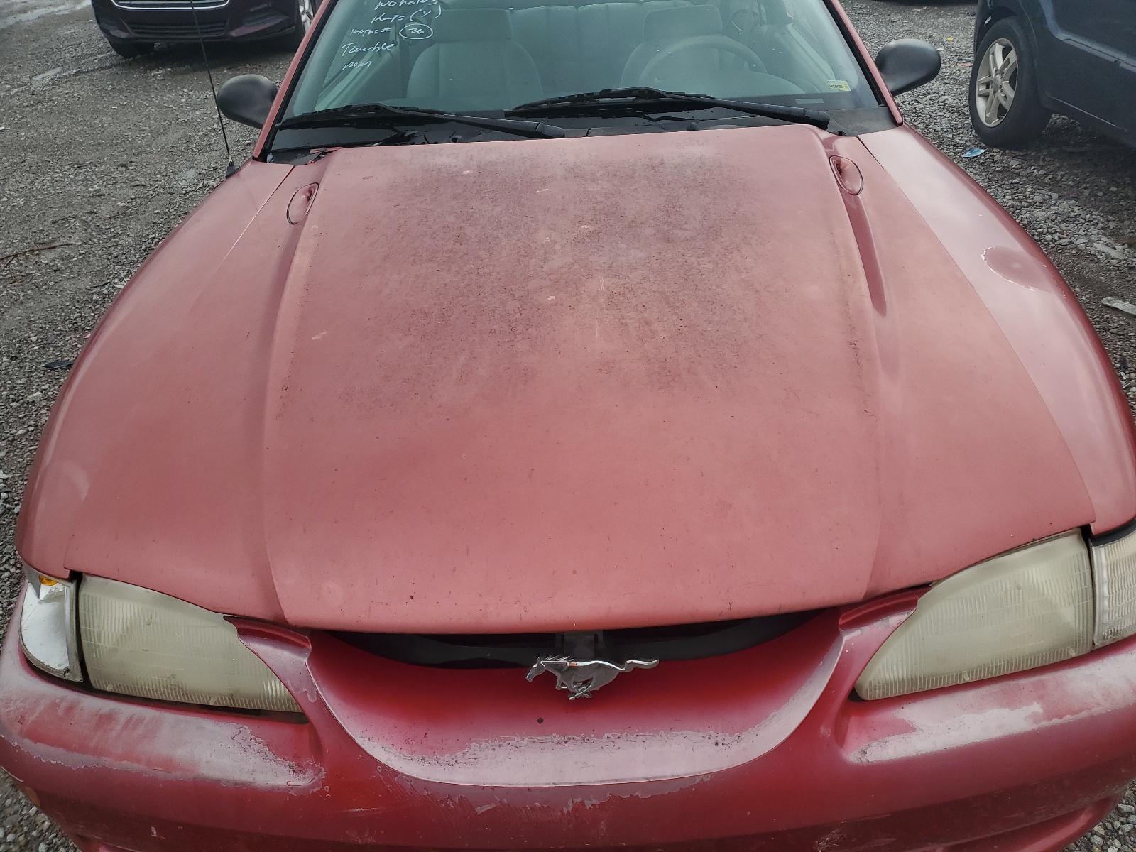 1FALP4048VF204865 1997 Ford Mustang