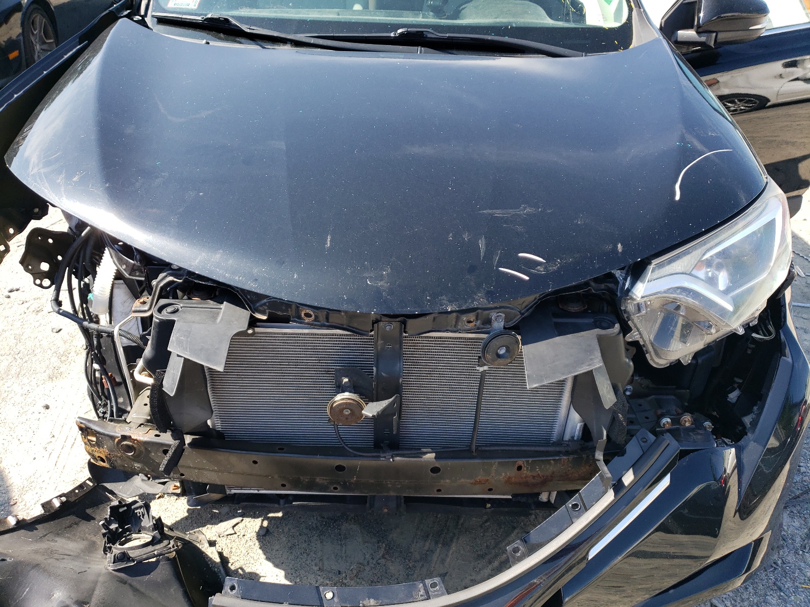 2T3RFREVXHW612017 2017 Toyota Rav4 Xle