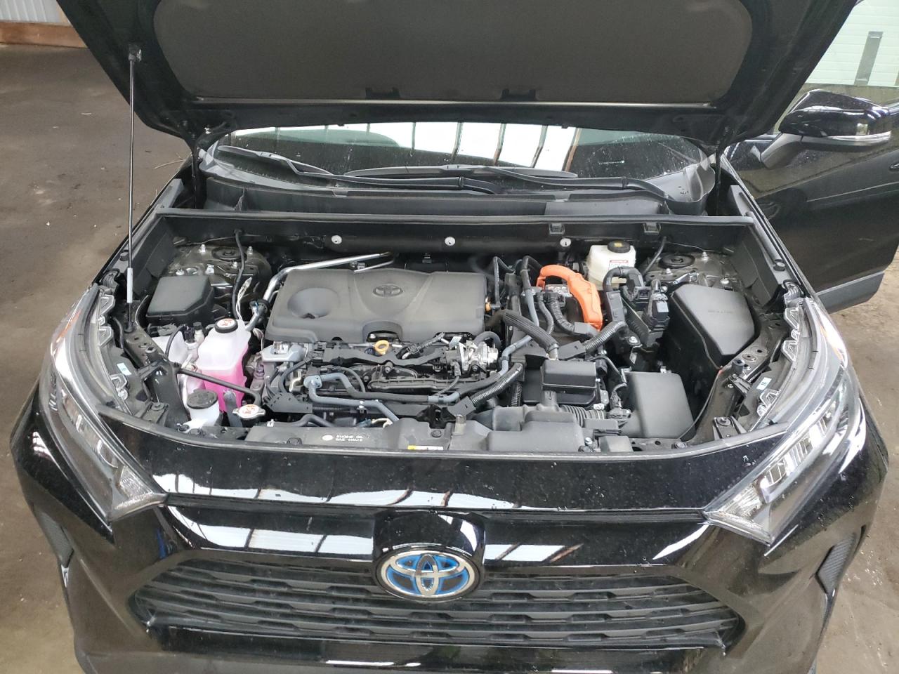 2022 Toyota Rav4 Le VIN: 2T3BWRFV3NW141016 Lot: 62186684