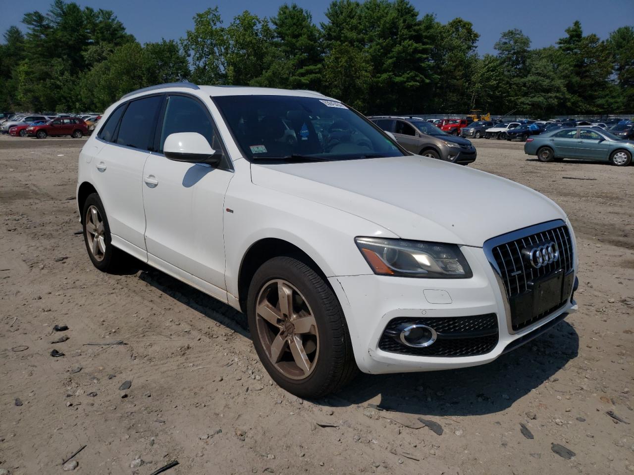 2011 Audi Q5 Premium Plus VIN: WA1DKAFP5BA024095 Lot: 63843434