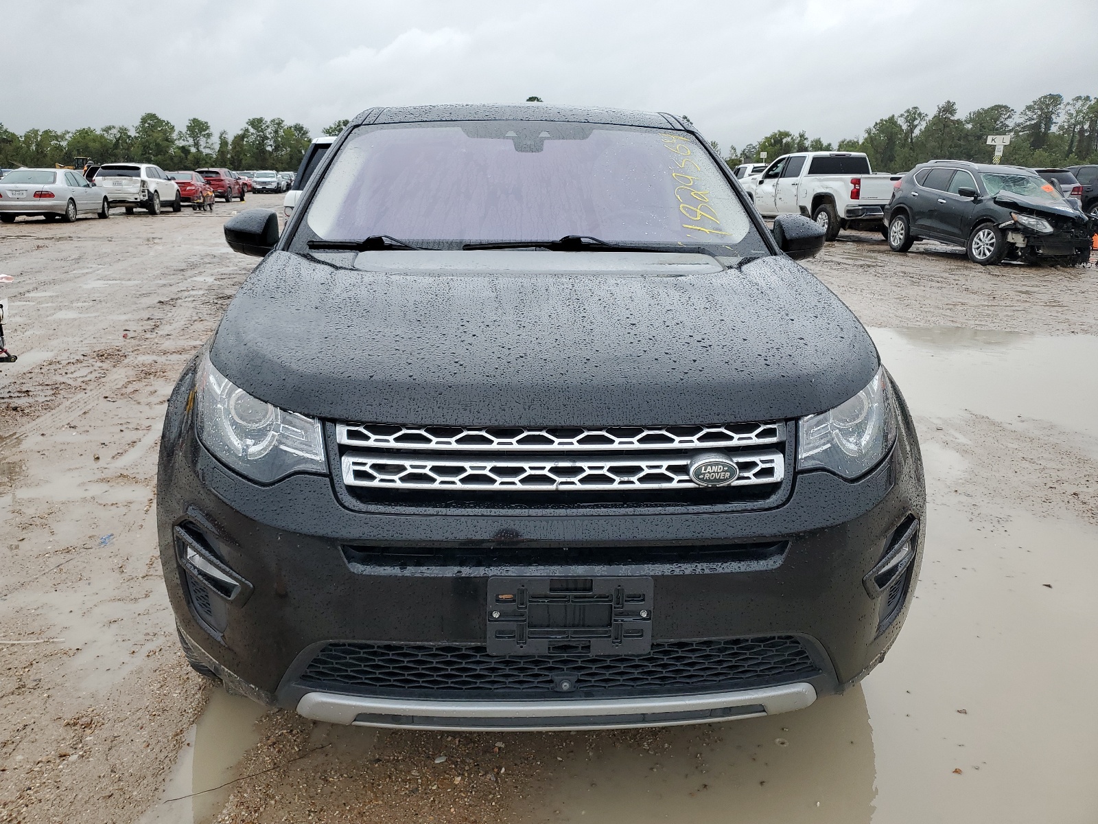 2019 Land Rover Discovery Sport Hse vin: SALCR2FX1KH793440