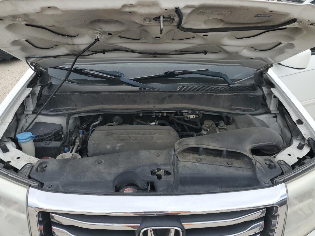 2013 Honda Pilot Exln VIN: 5FNYF3H71DB003906 Lot: 63616394