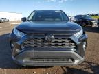 2019 TOYOTA RAV4 XLE for sale at Copart AB - CALGARY