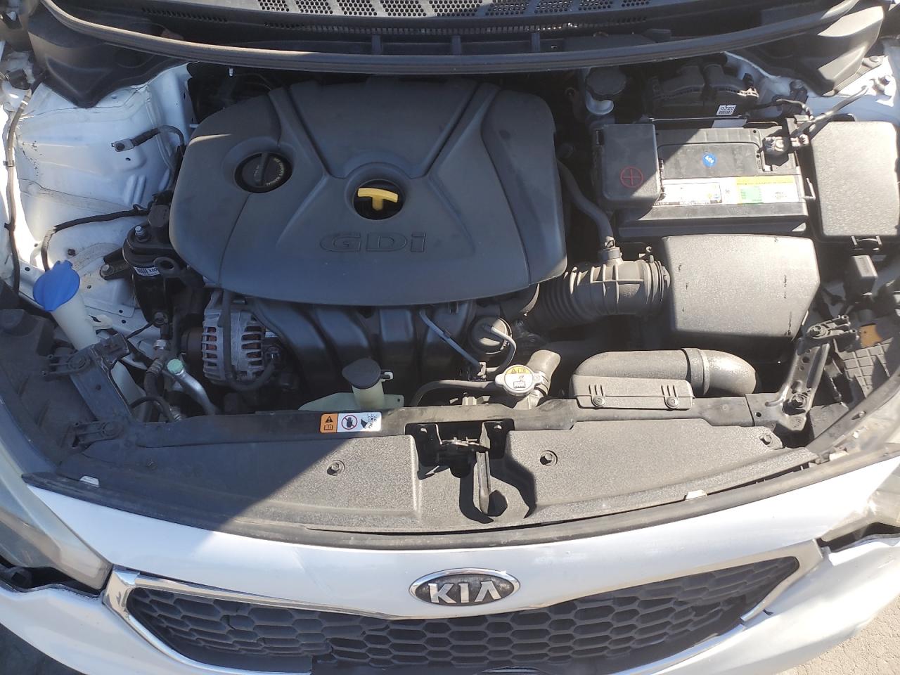 2014 Kia Forte Ex VIN: KNAFX4A8XE5079508 Lot: 63319794