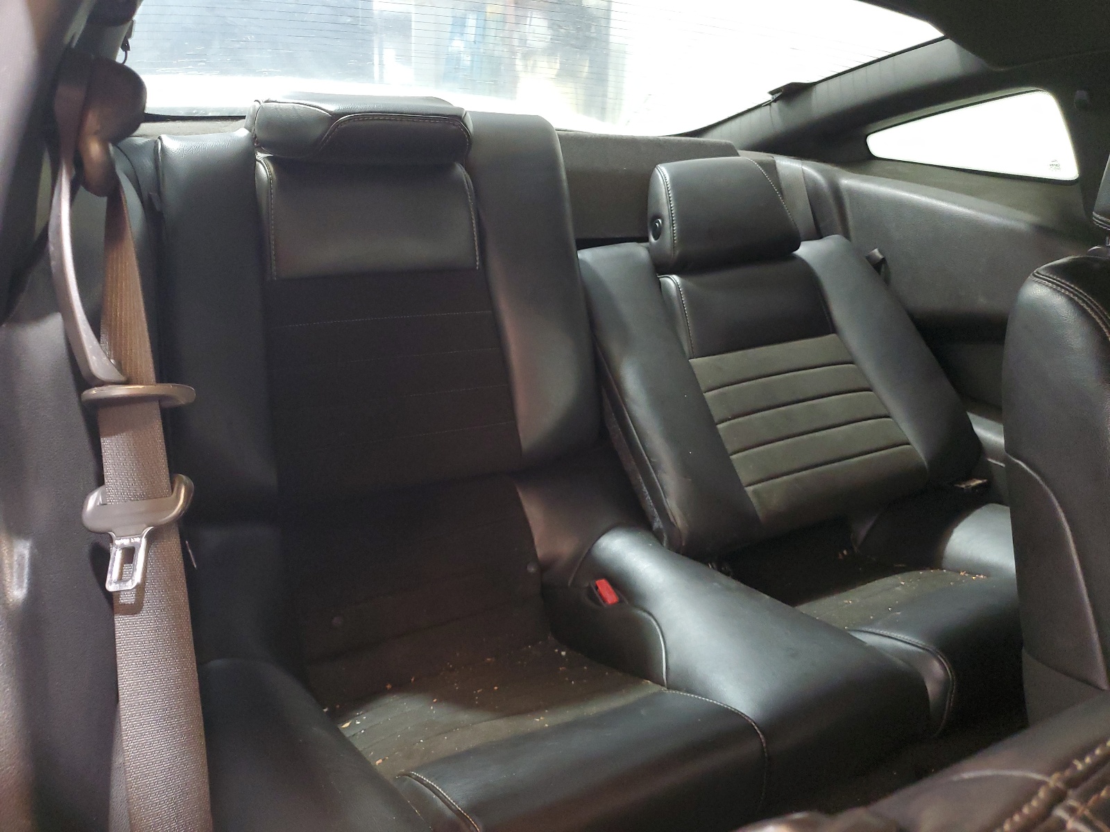 1ZVBP8CF1D5244863 2013 Ford Mustang Gt