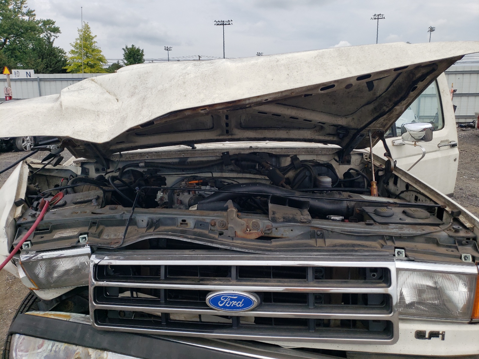 1FTEF15N3KLA88297 1989 Ford F150
