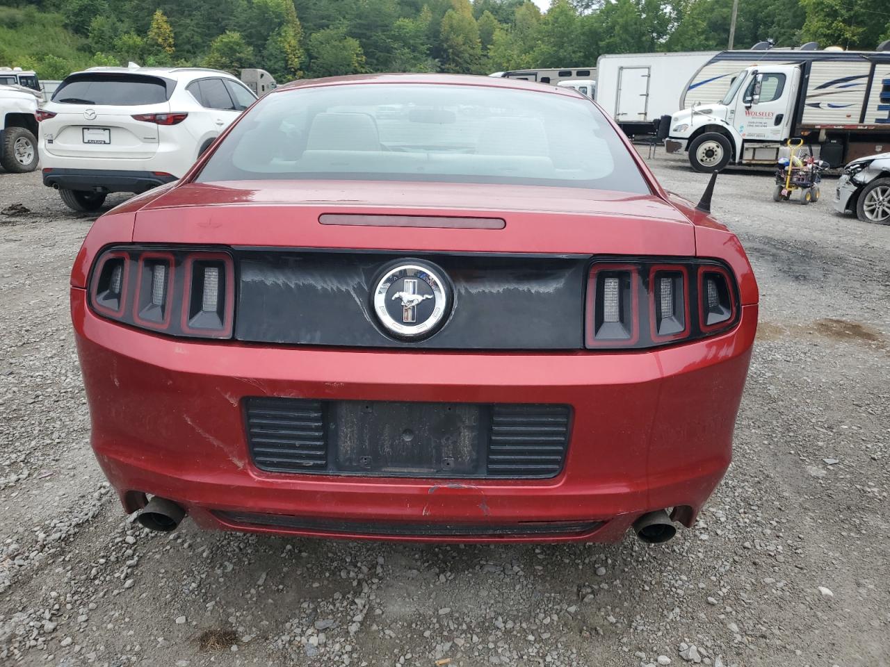 2013 Ford Mustang VIN: 1ZVBP8AM5D5225847 Lot: 63214934