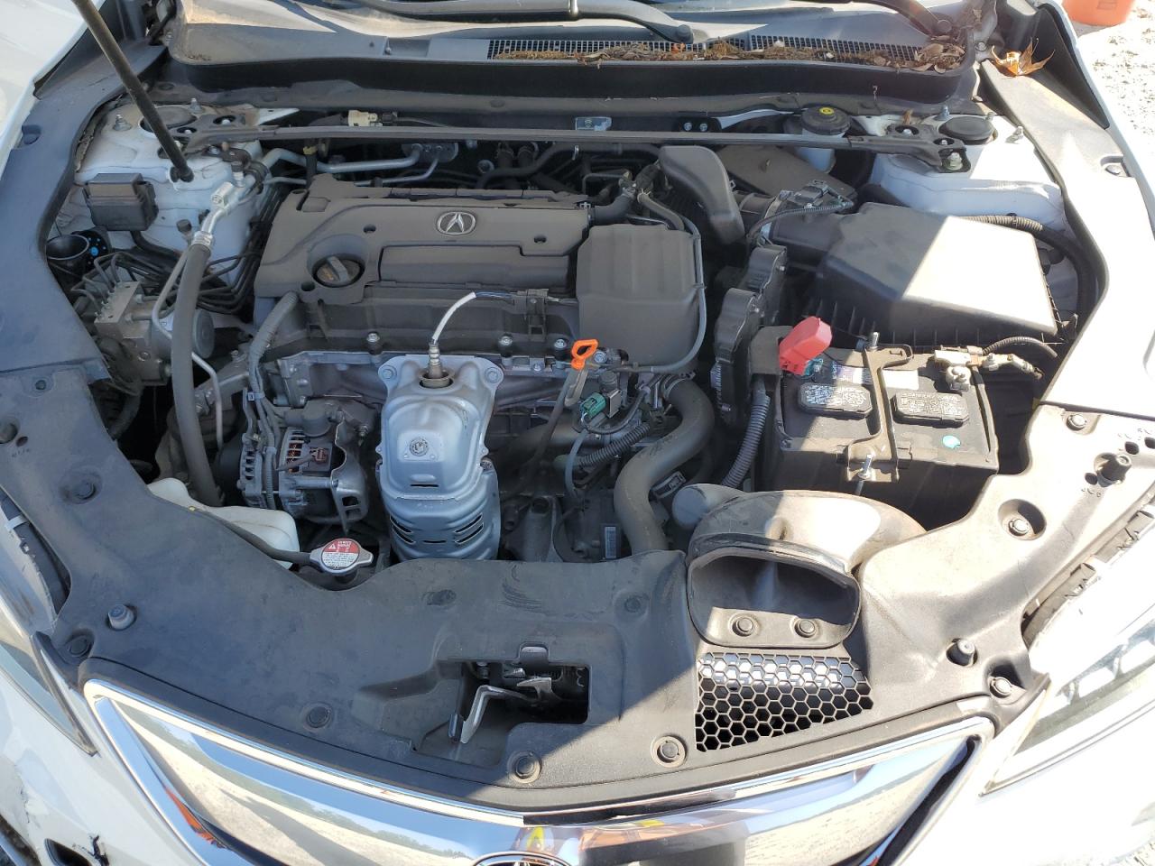 2015 Acura Tlx VIN: 19UUB1F39FA017905 Lot: 61253534