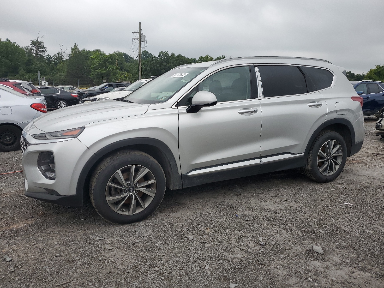 2019 Hyundai Santa Fe Sel vin: 5NMS3CAD1KH036799