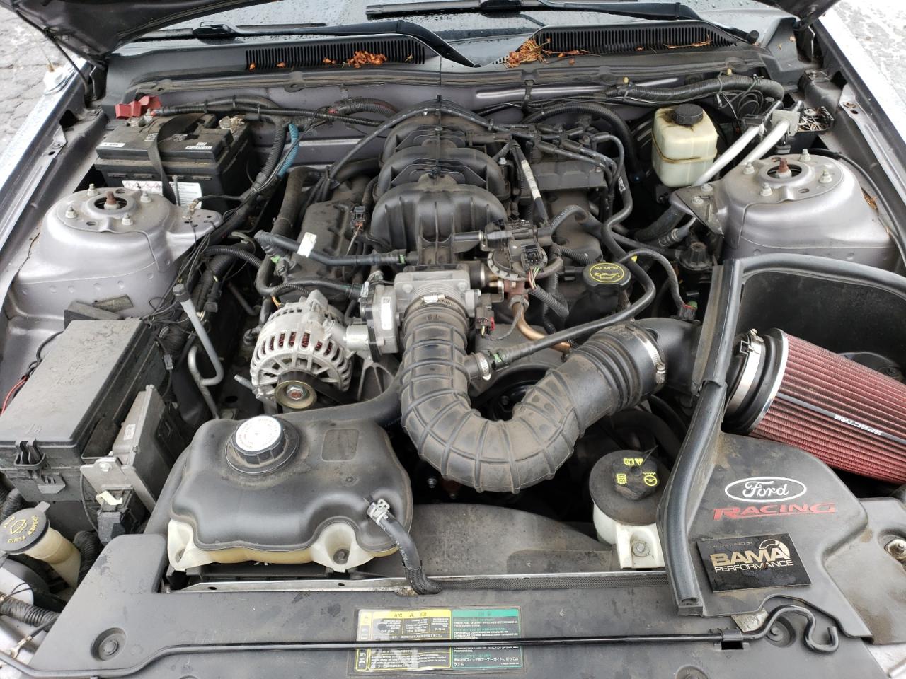 2006 Ford Mustang VIN: 1ZVFT80N365187299 Lot: 64702774