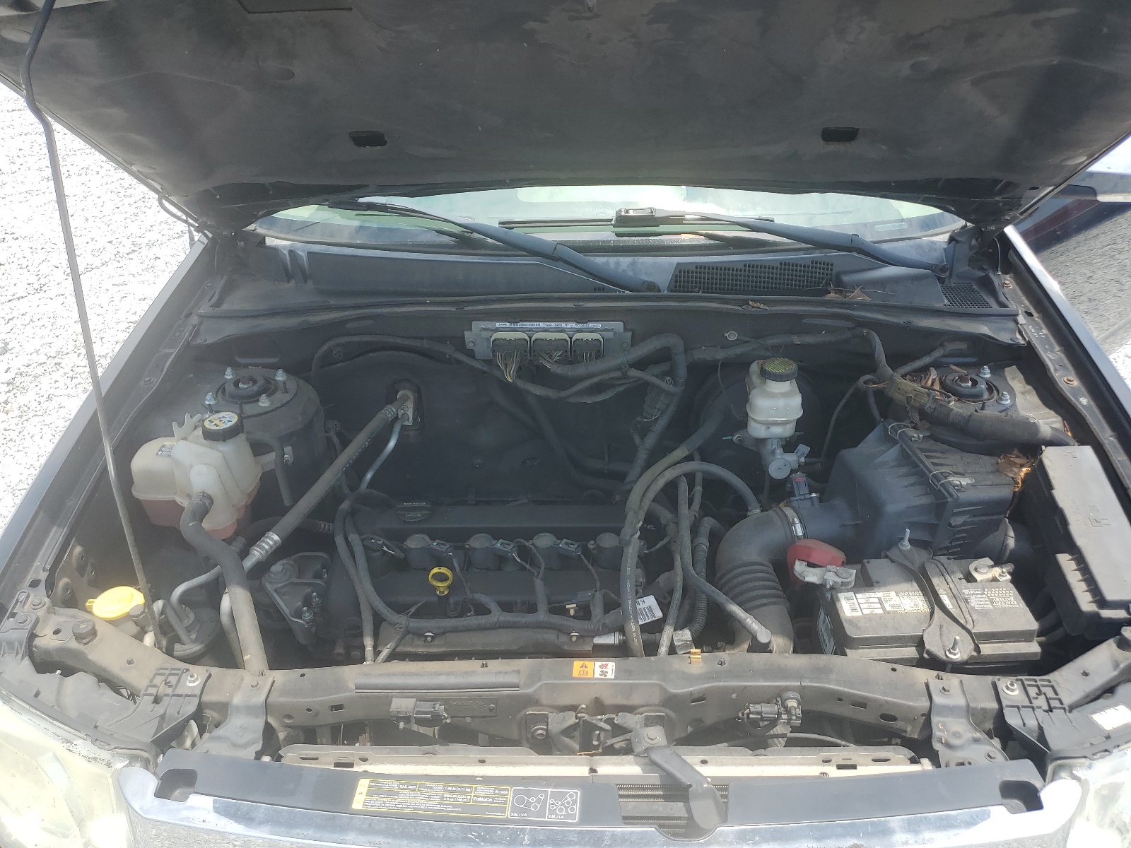 1FMCU0D70CKB95062 2012 Ford Escape Xlt