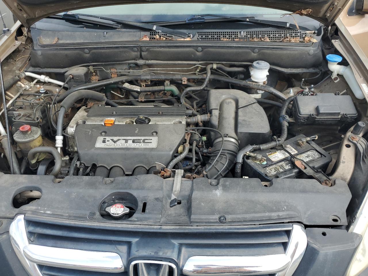 2004 Honda Cr-V Ex VIN: SHSRD78814U218303 Lot: 62283014