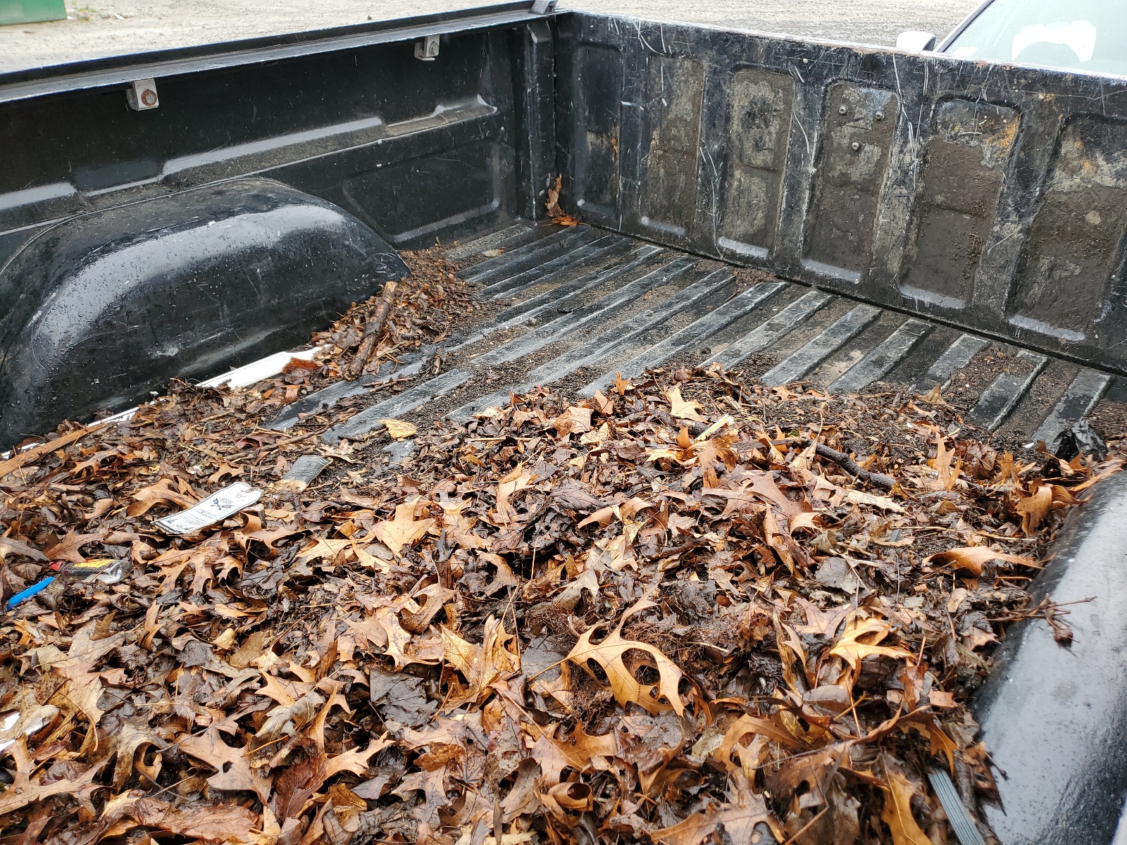 1GCEC14W3WZ280969 1998 Chevrolet Gmt-400 C1500