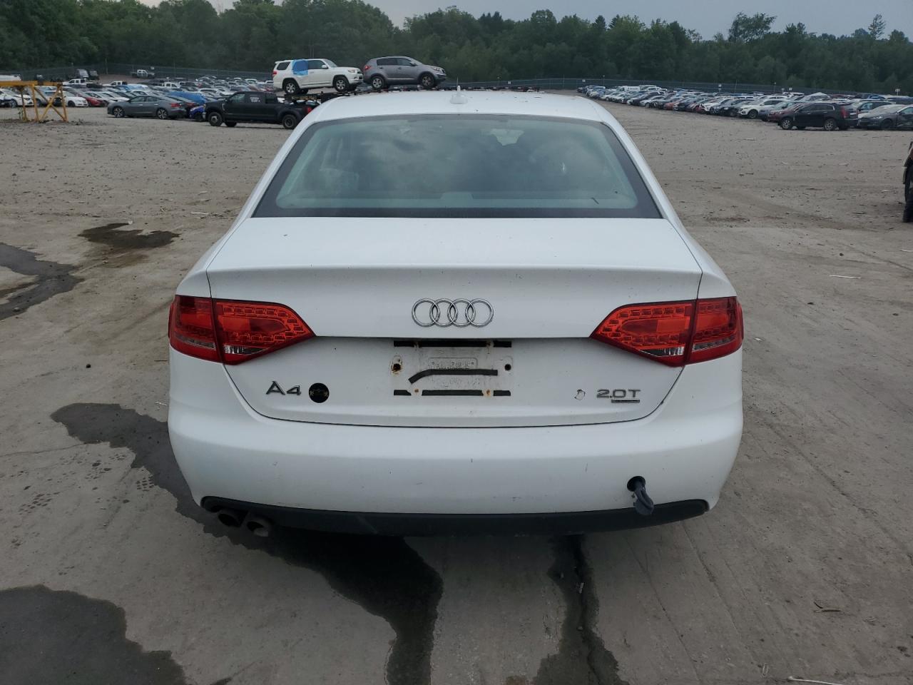 2011 Audi A4 Premium Plus VIN: WAUFFAFL6BA086831 Lot: 64881934