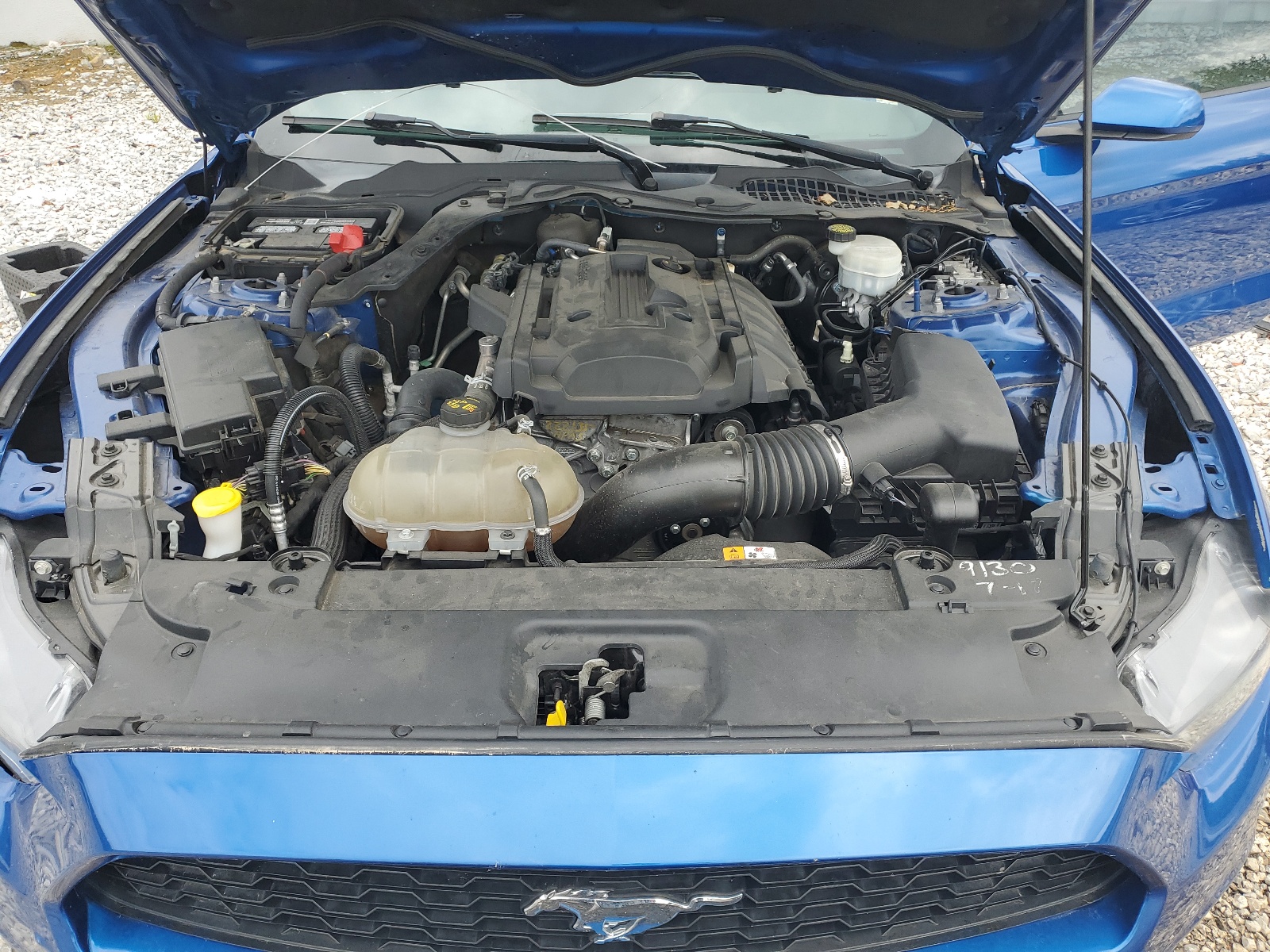 1FA6P8TH8H5339065 2017 Ford Mustang