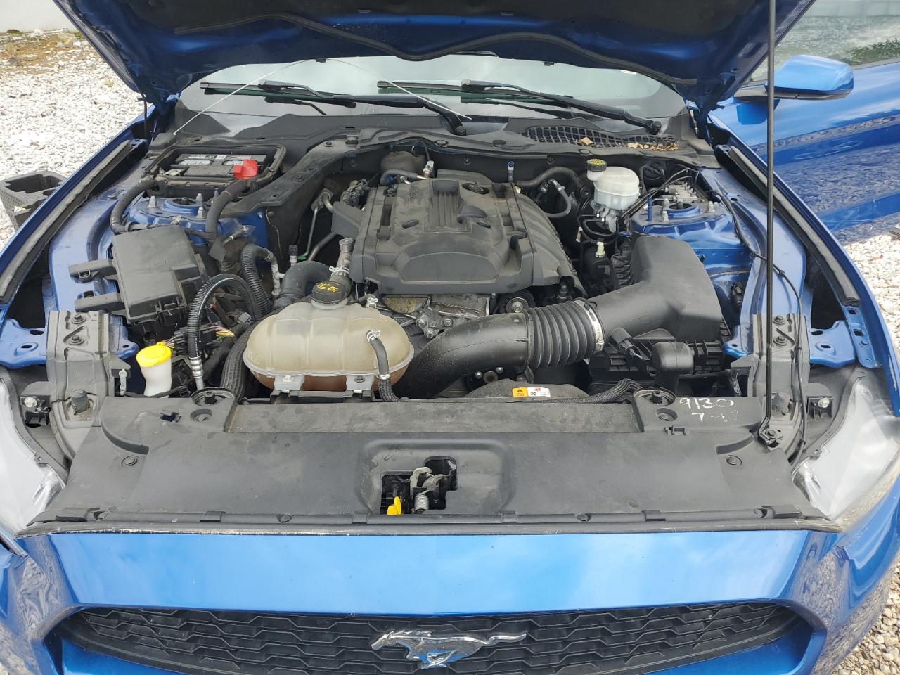 2017 Ford Mustang VIN: 1FA6P8TH8H5339065 Lot: 62938344