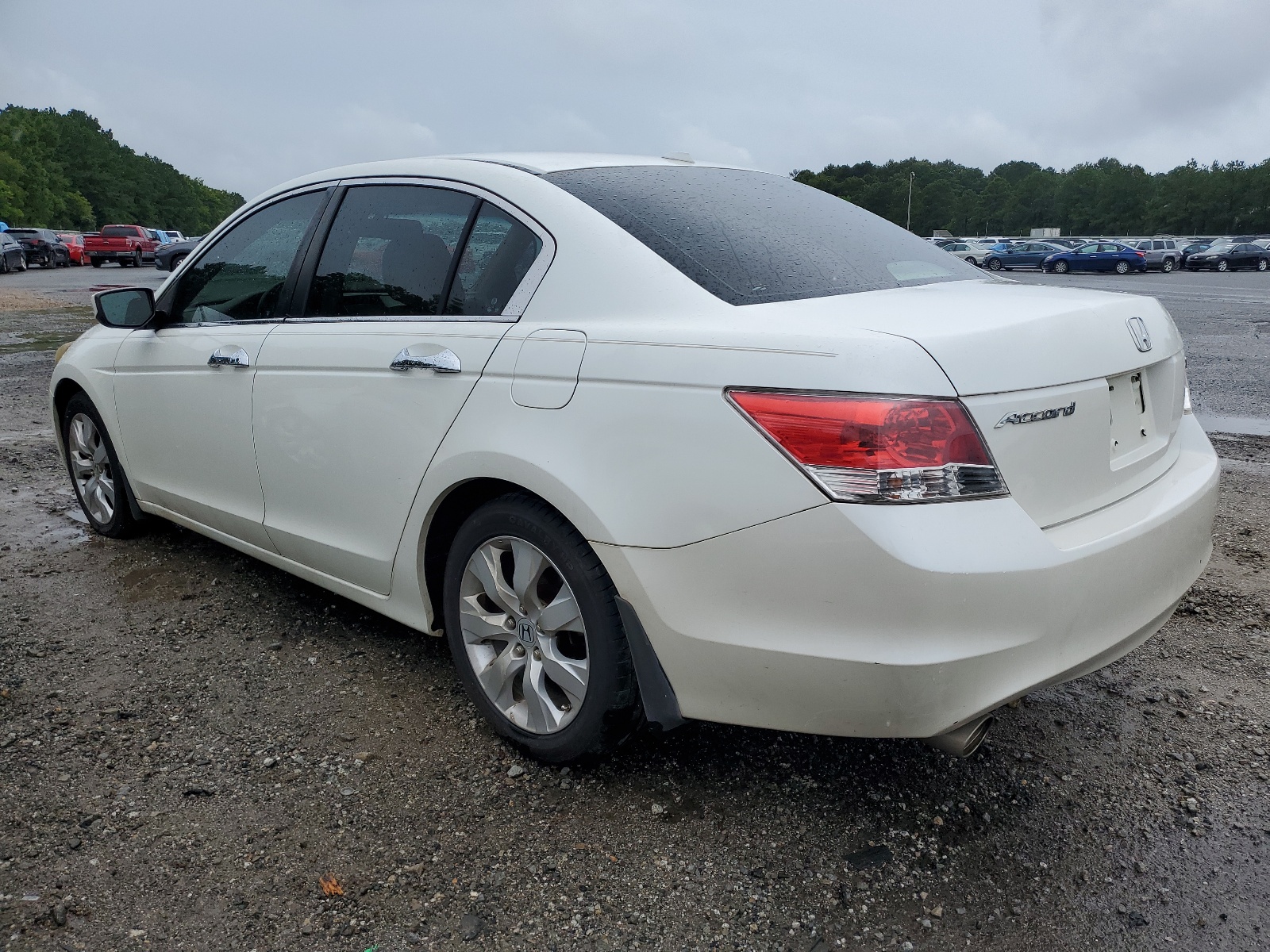 1HGCP36828A070002 2008 Honda Accord Exl