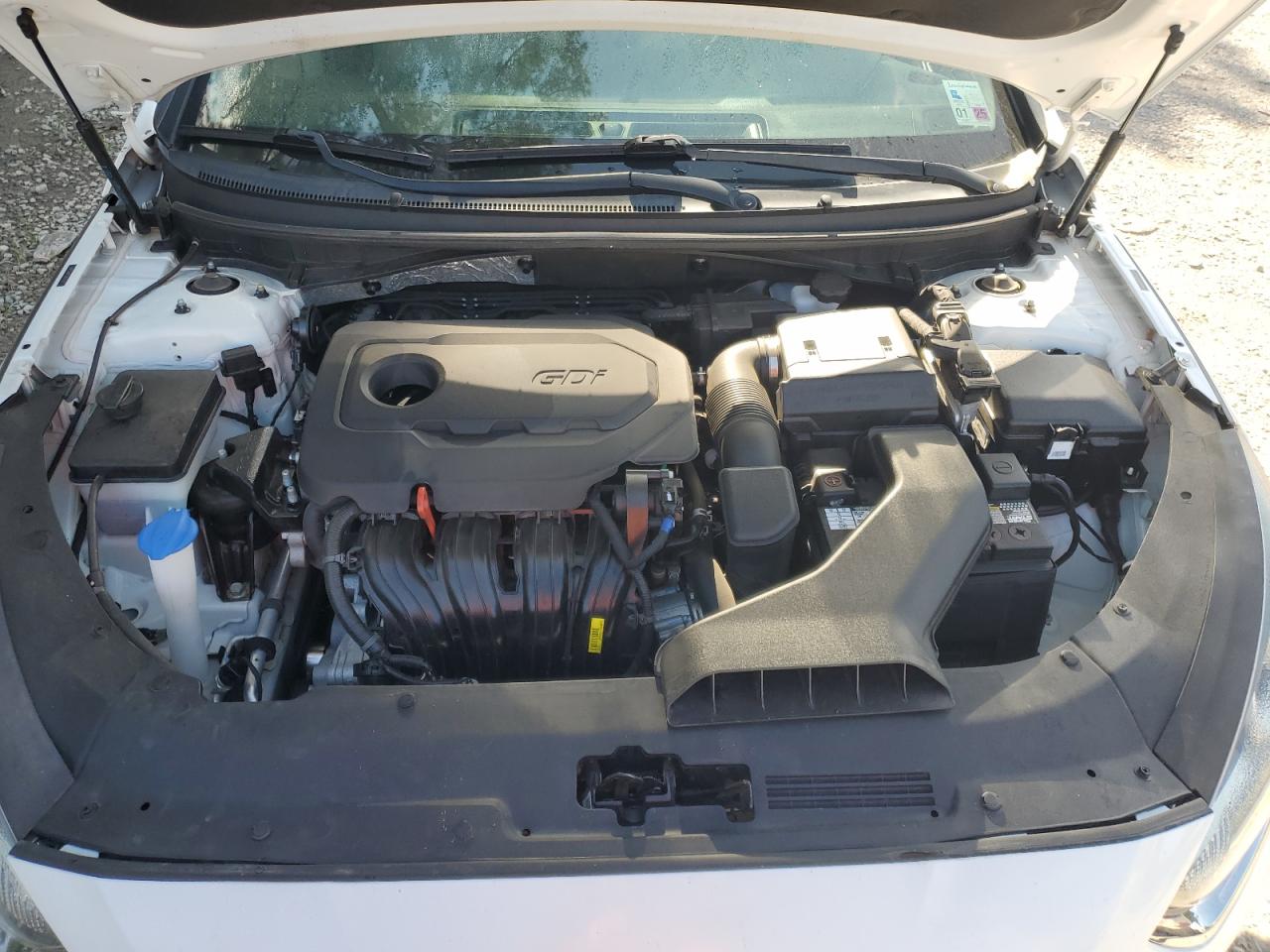 2018 Hyundai Sonata Sport VIN: 5NPE34AF7JH612532 Lot: 64964154