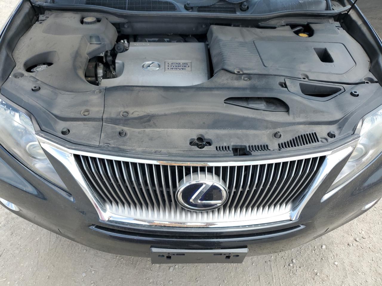 2010 Lexus Rx 450 VIN: JTJBC1BA8A2401018 Lot: 64016564