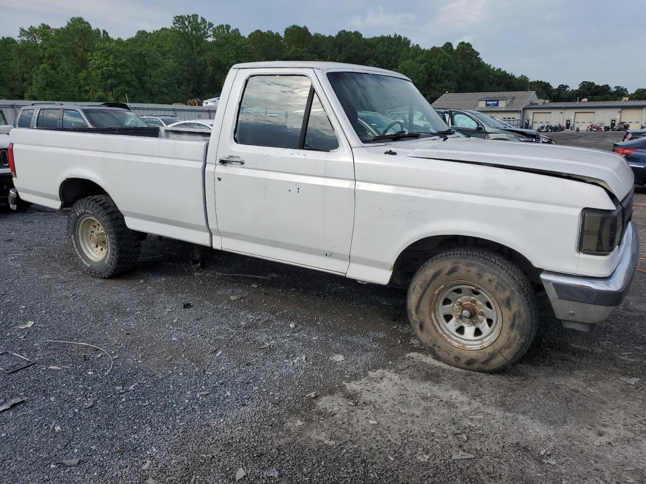 1990 Ford F150 VIN: 1FTEF15NXLNB05554 Lot: 63228764
