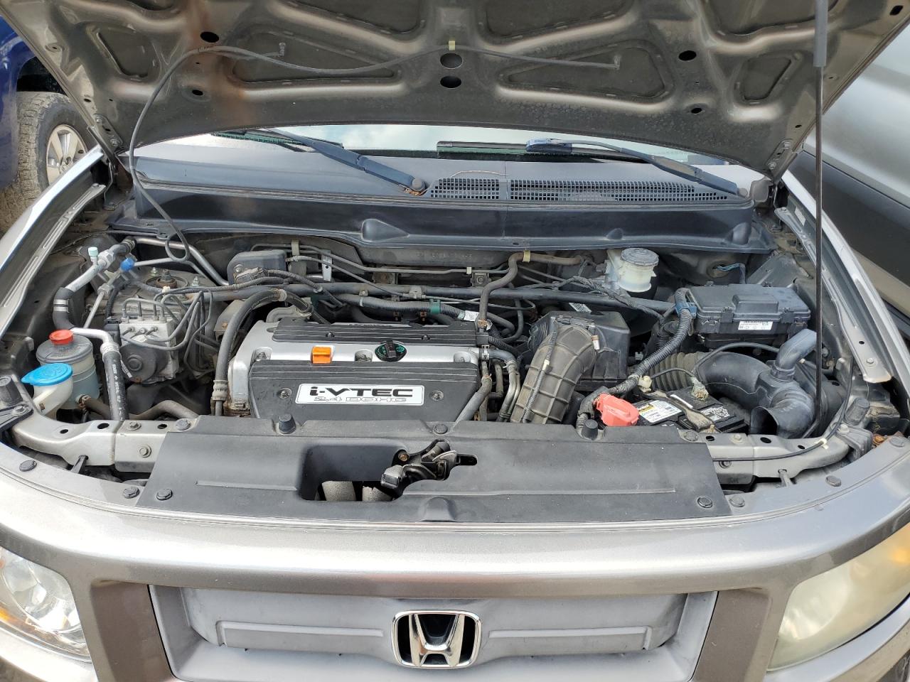 2008 Honda Element Sc VIN: 5J6YH18938L011955 Lot: 64029814