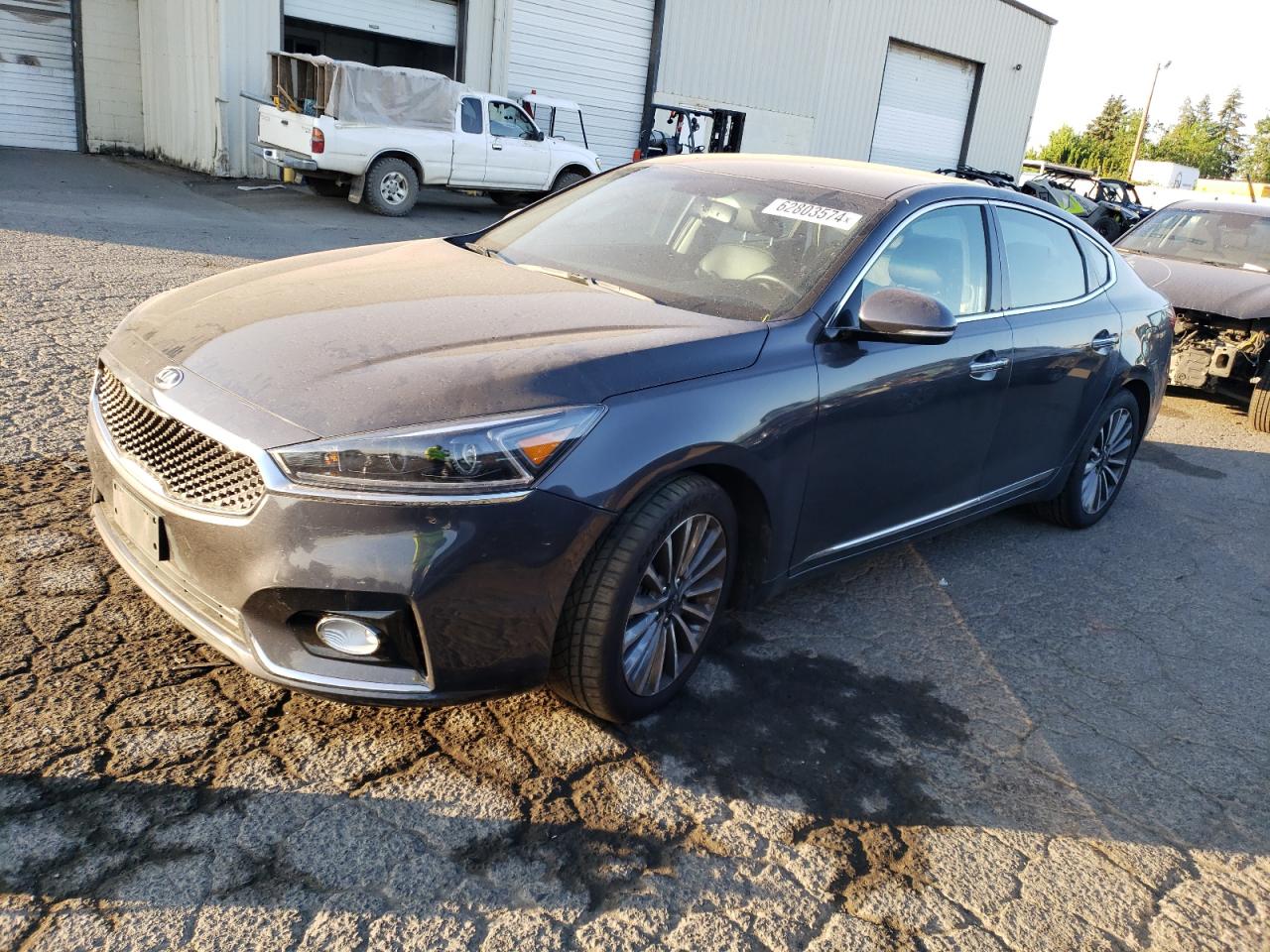 2019 Kia Cadenza Premium VIN: KNALB4J10K5166642 Lot: 62803574